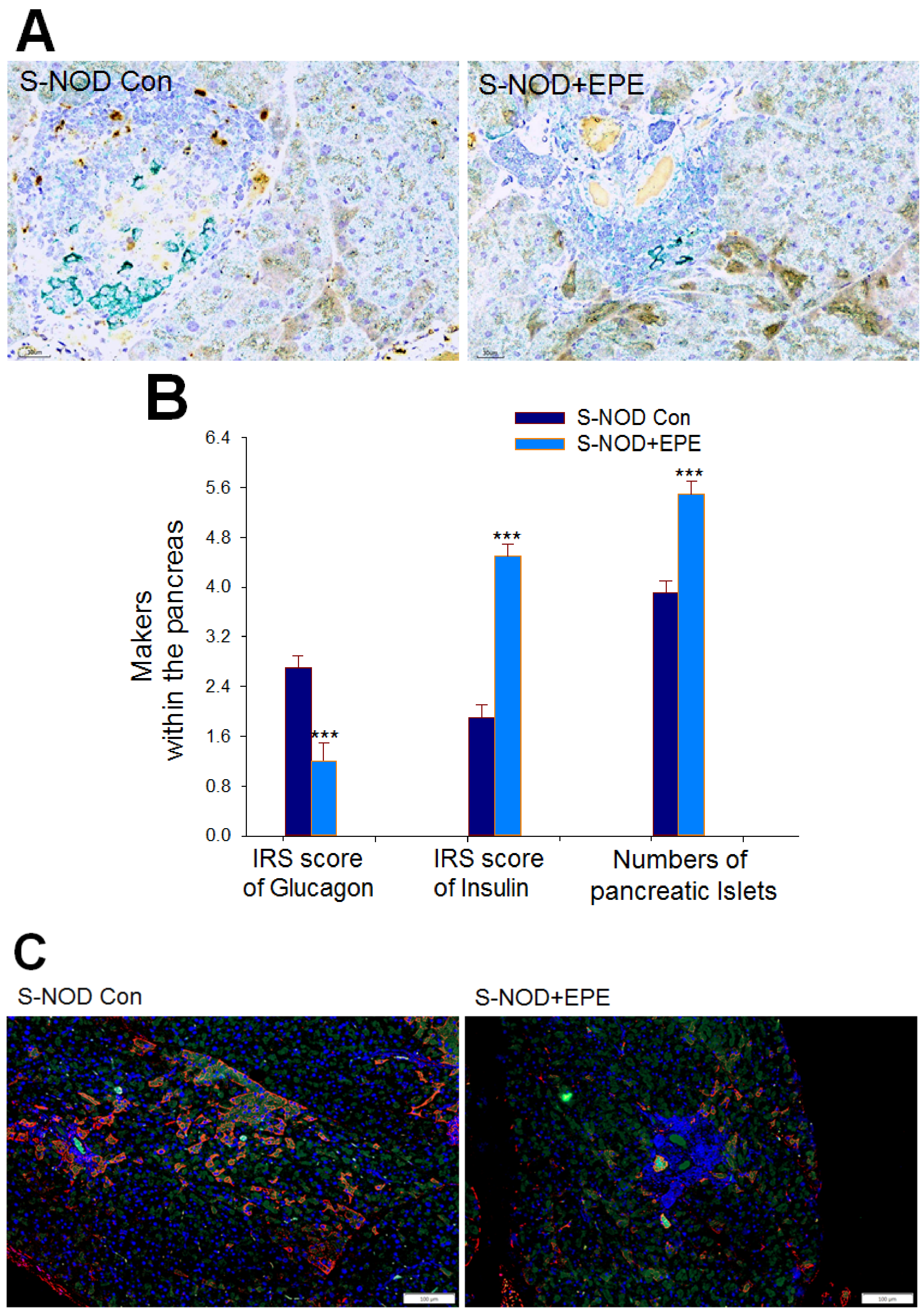 Ijms 24 09922 g005a Ijms 24 09922 g005a