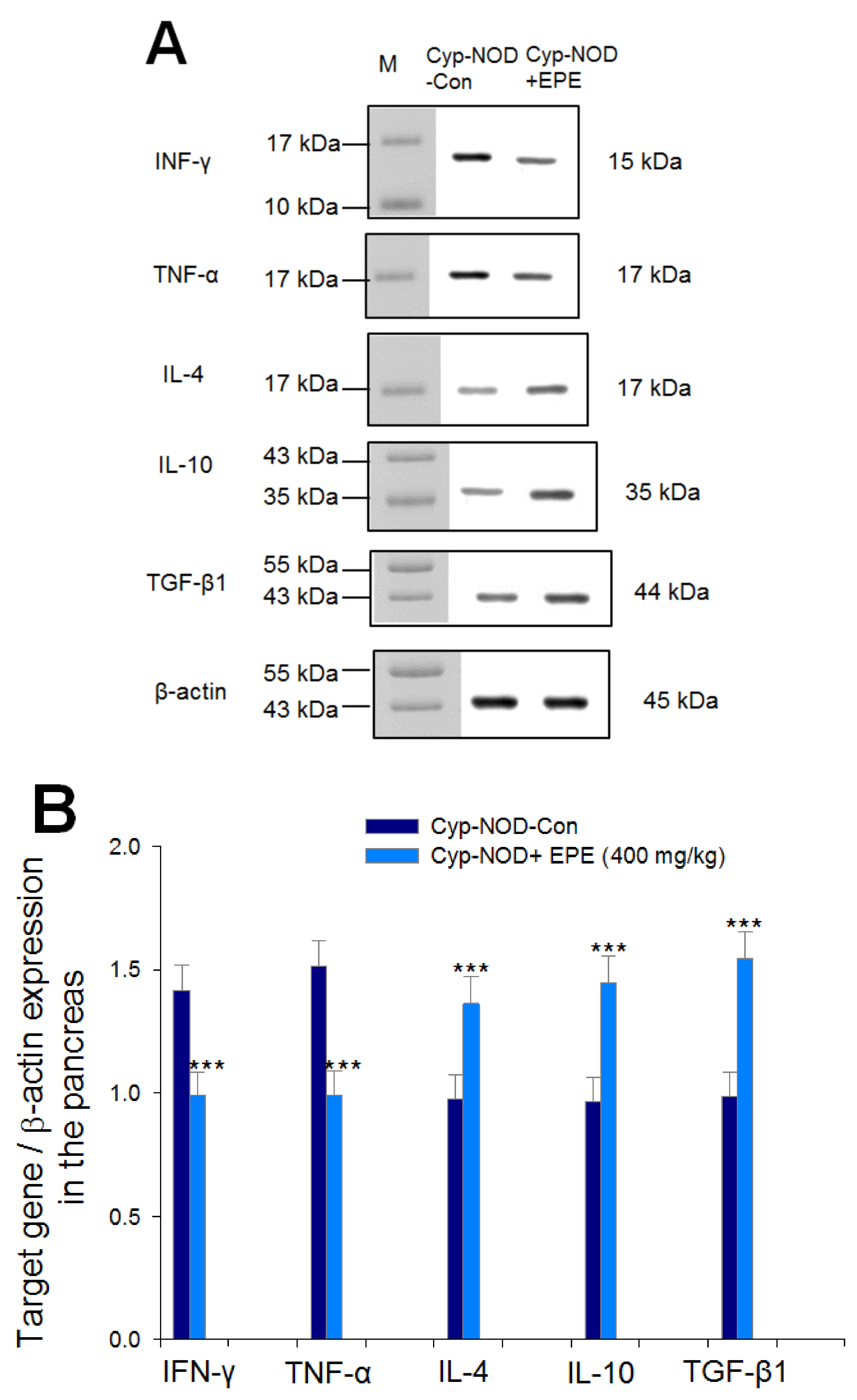 Ijms 24 09922 g008 Ijms 24 09922 g008