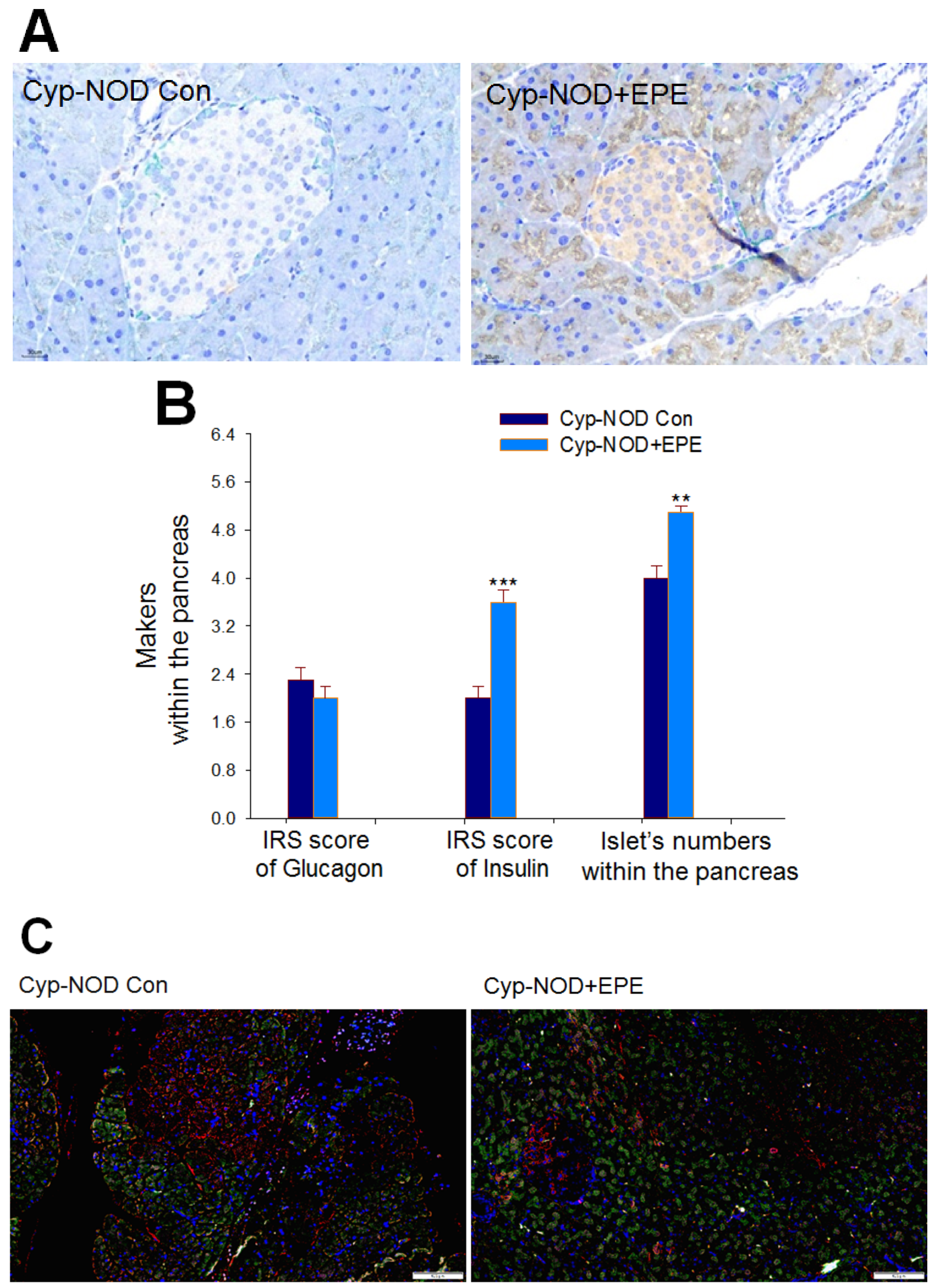 Ijms 24 09922 g009a Ijms 24 09922 g009a