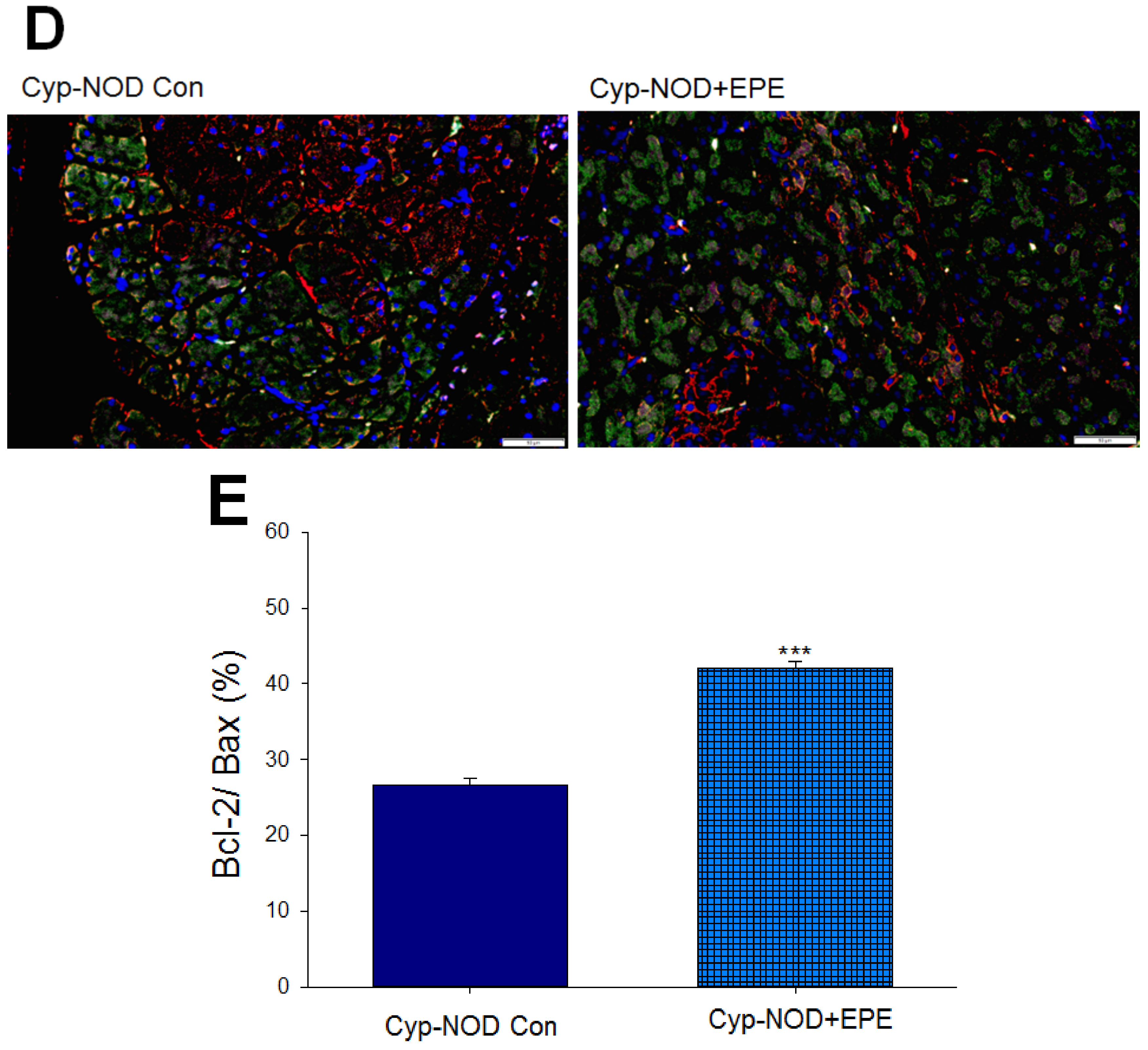 Ijms 24 09922 g009b Ijms 24 09922 g009b