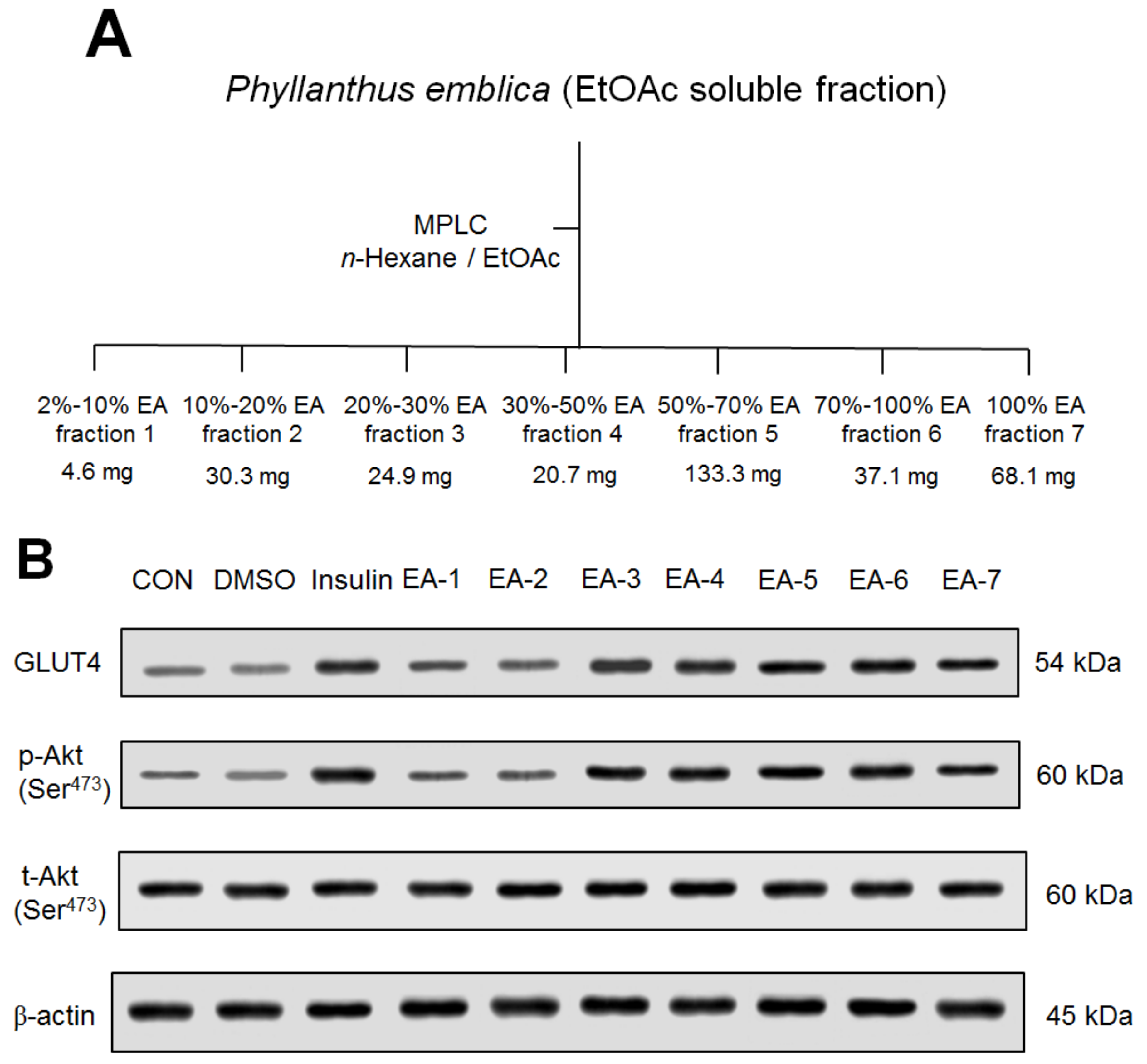 Ijms 24 09922 g010a Ijms 24 09922 g010a