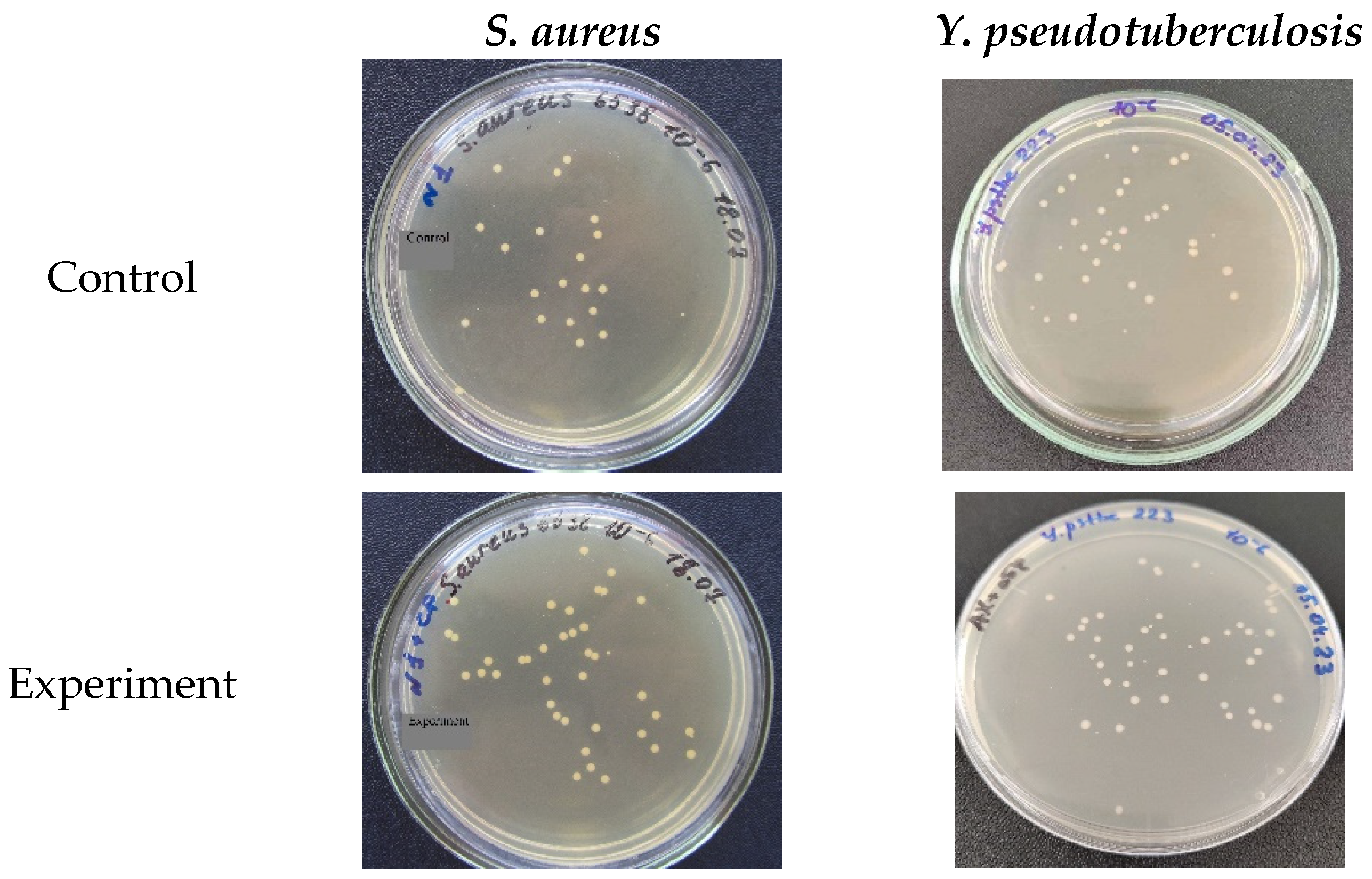 Ijms 24 09965 g004 Ijms 24 09965 g004