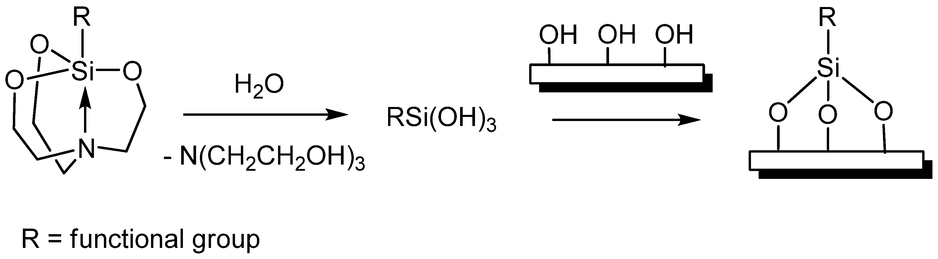 Ijms 24 09965 sch001 Ijms 24 09965 sch001