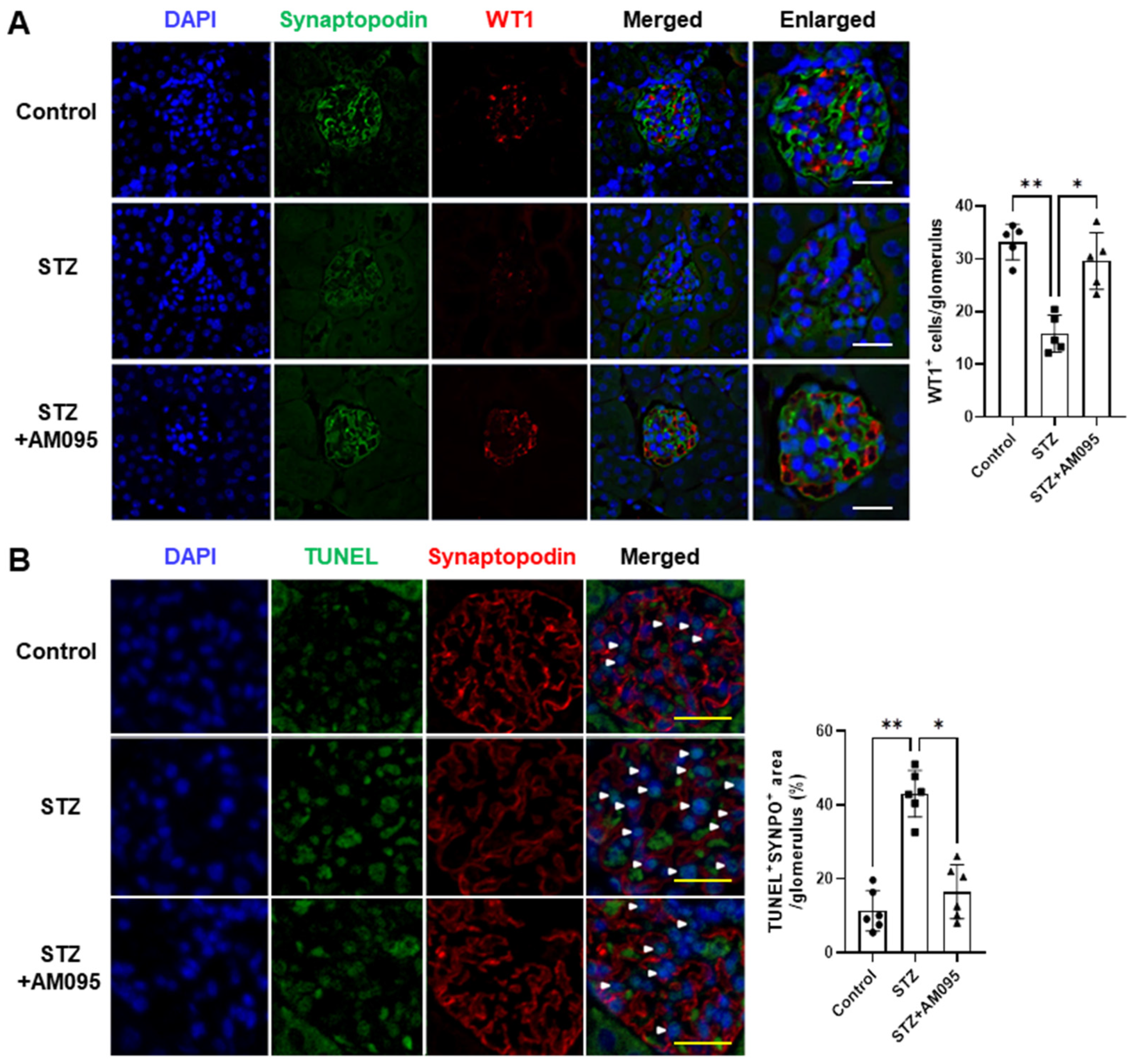 Ijms 24 09968 g001 Ijms 24 09968 g001