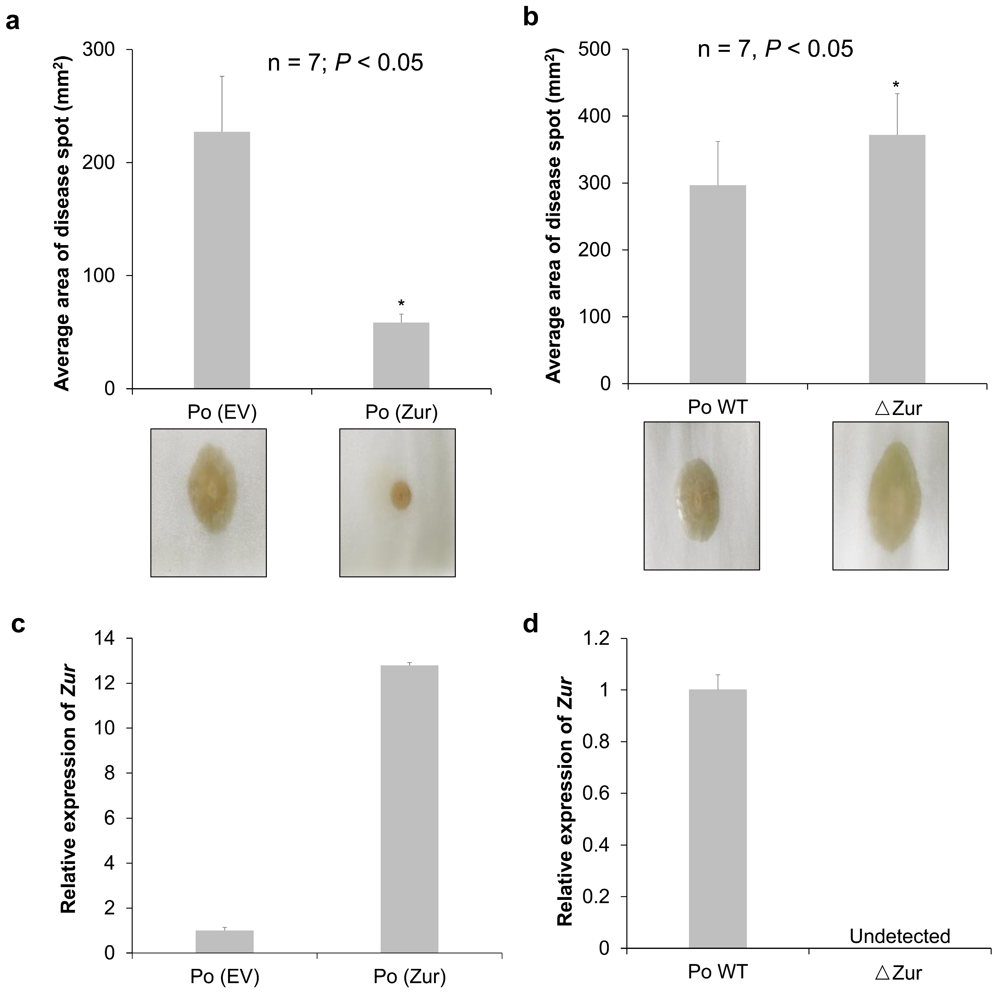 Ijms 24 09991 g001 Ijms 24 09991 g001