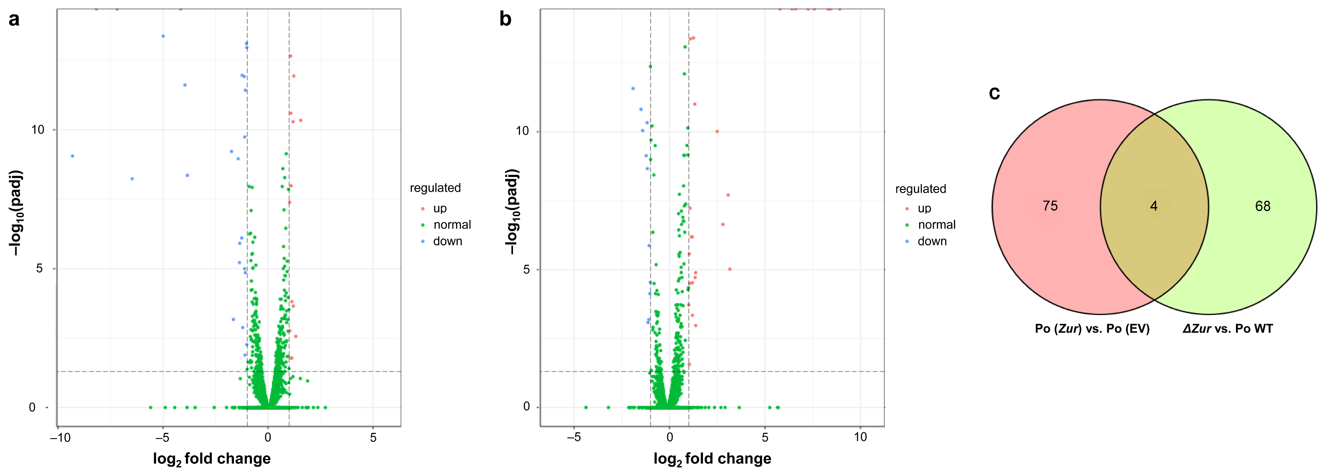 Ijms 24 09991 g003 Ijms 24 09991 g003