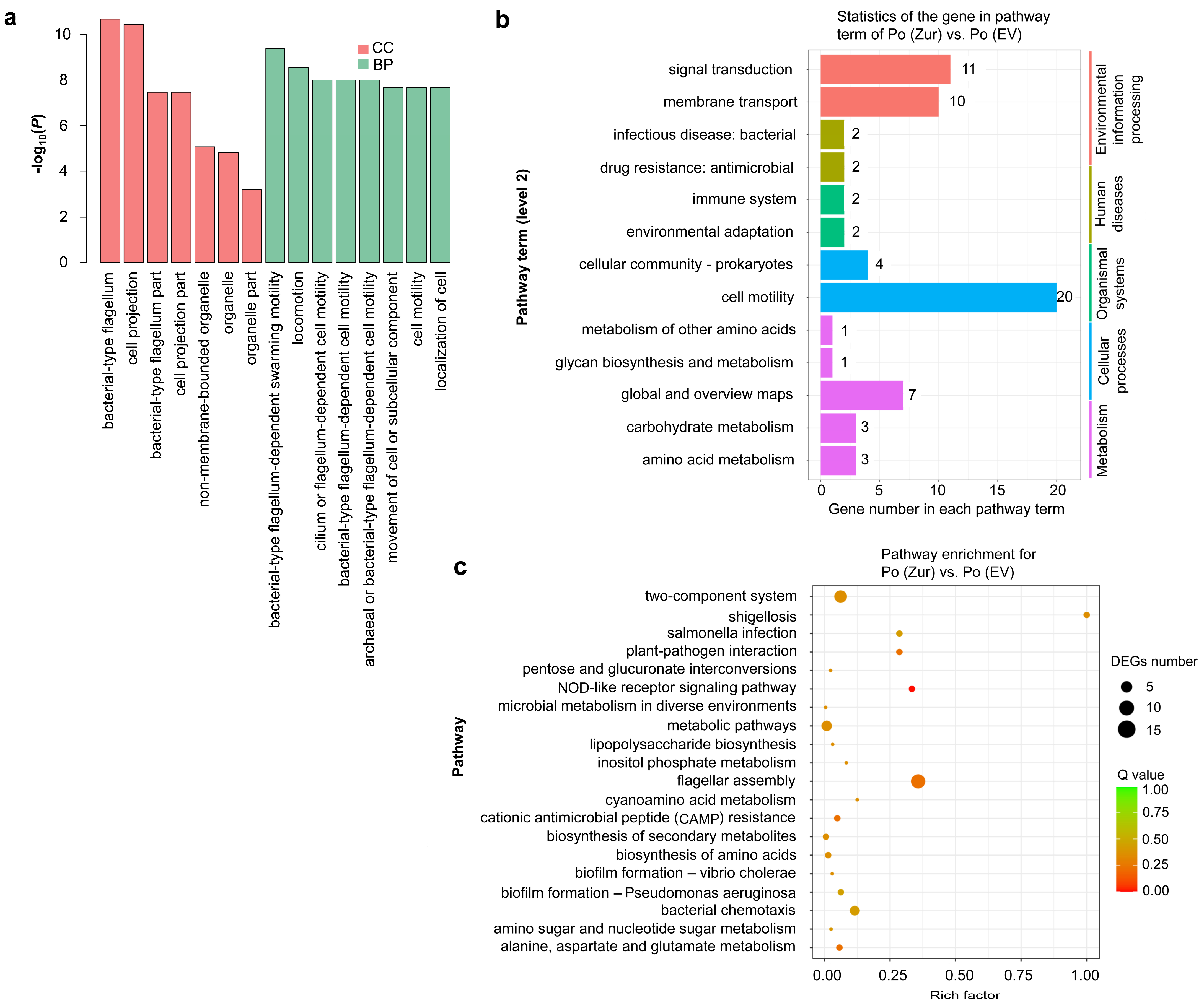 Ijms 24 09991 g004 Ijms 24 09991 g004