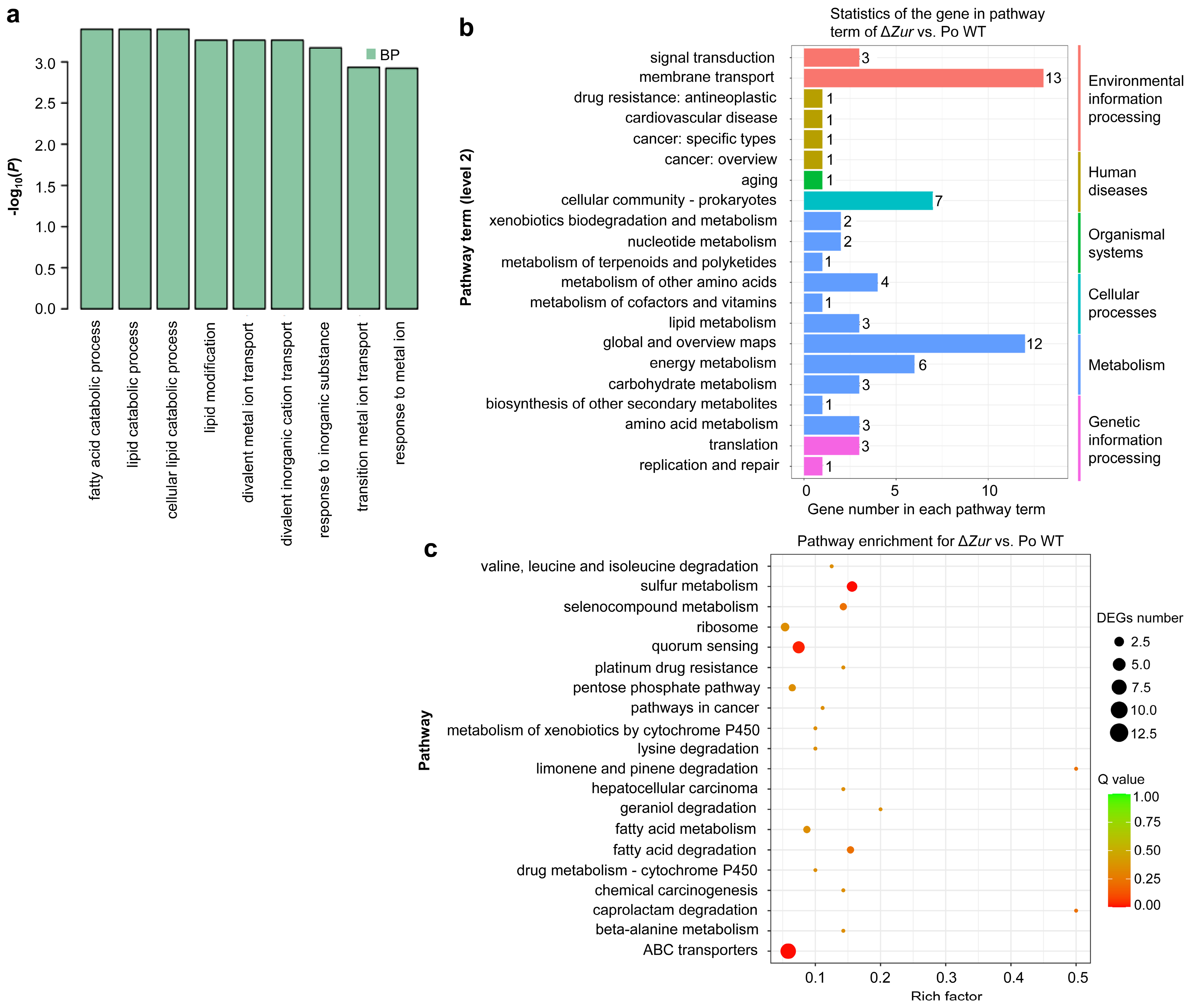 Ijms 24 09991 g007 Ijms 24 09991 g007
