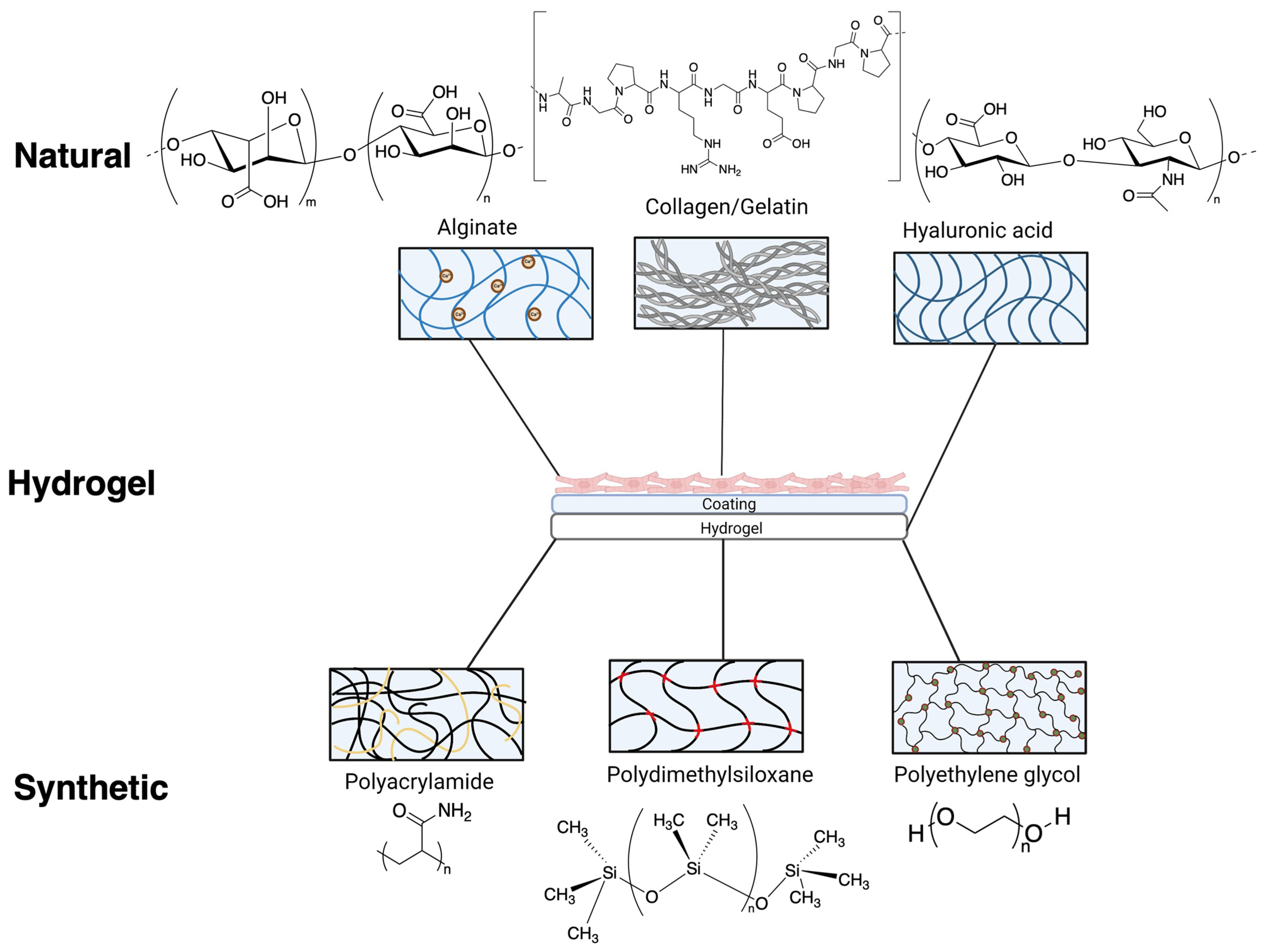 Ijms 24 09995 g002 Ijms 24 09995 g002