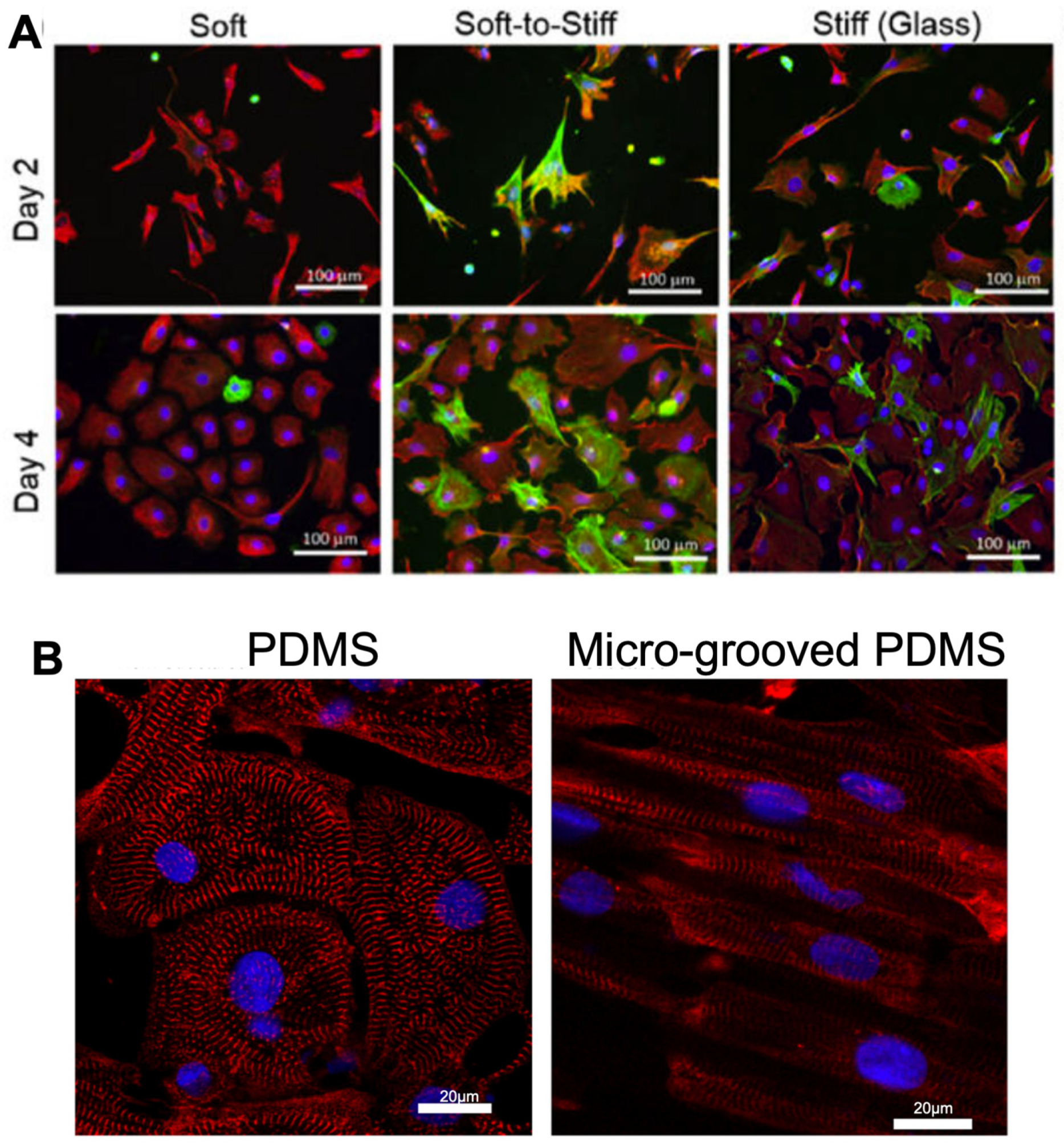 Ijms 24 09995 g003 Ijms 24 09995 g003