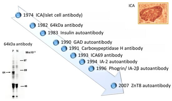 Ijms Free Full Text Anti Islet Autoantibodies In Type 1 Diabetes 6985