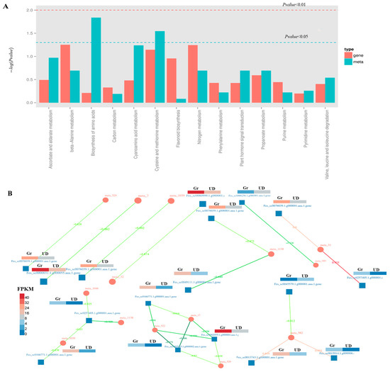 IJMS | Free Full-Text | Joint QTL Mapping And Transcriptome Sequencing ...