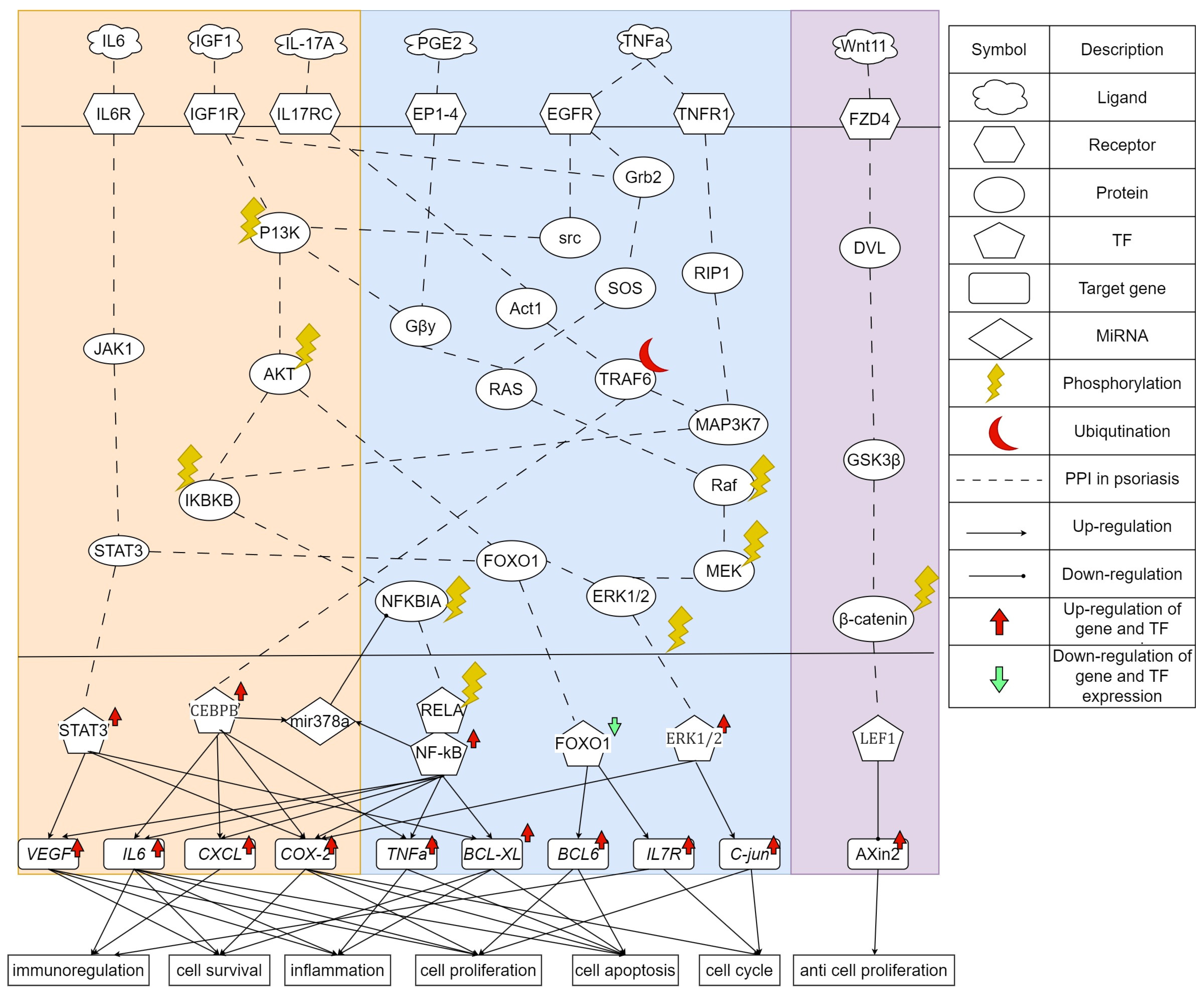 Ijms 24 10033 g004 Ijms 24 10033 g004