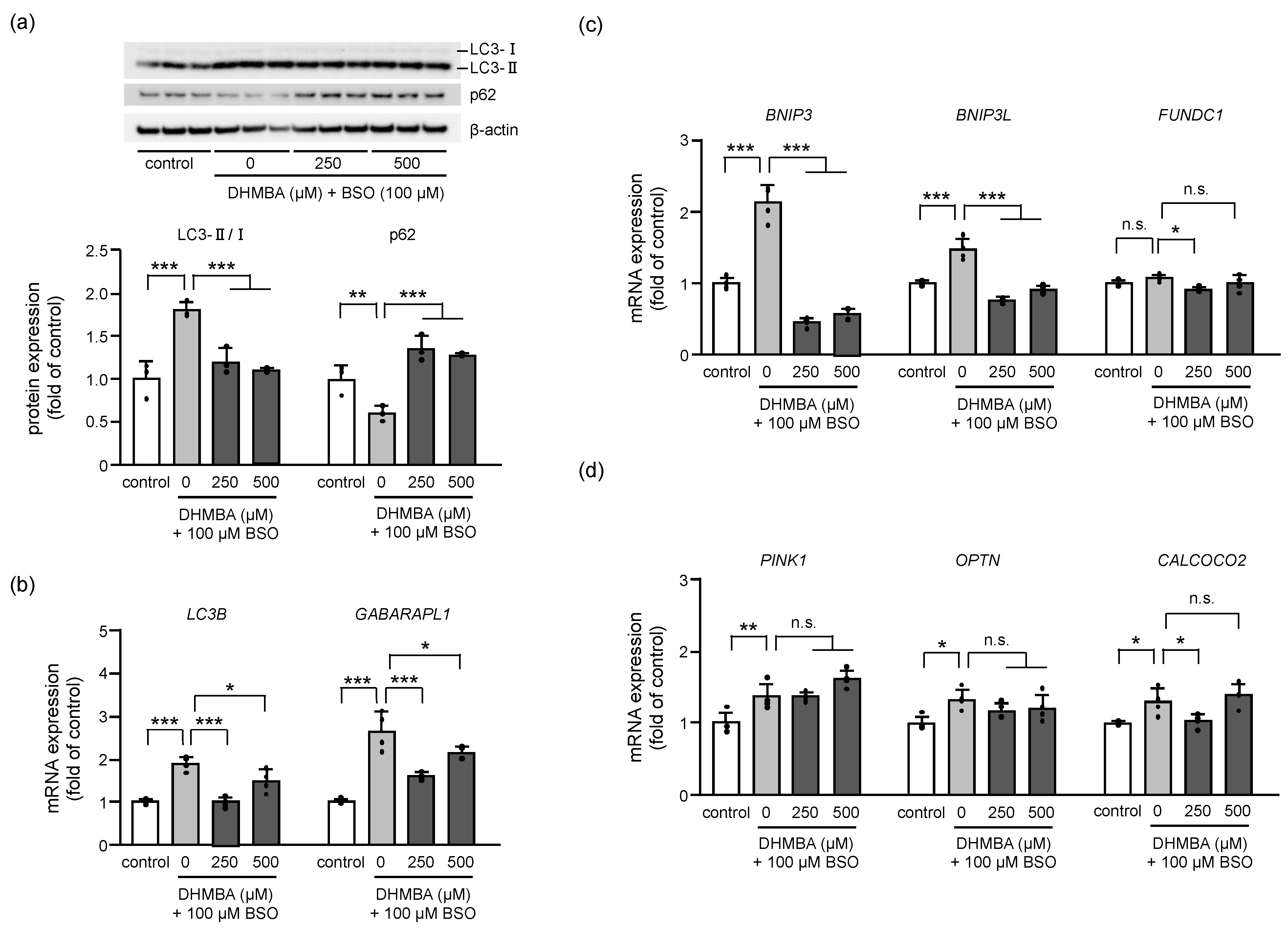 Ijms Free Full Text A Pacific Oyster Derived Antioxidant Dhmba