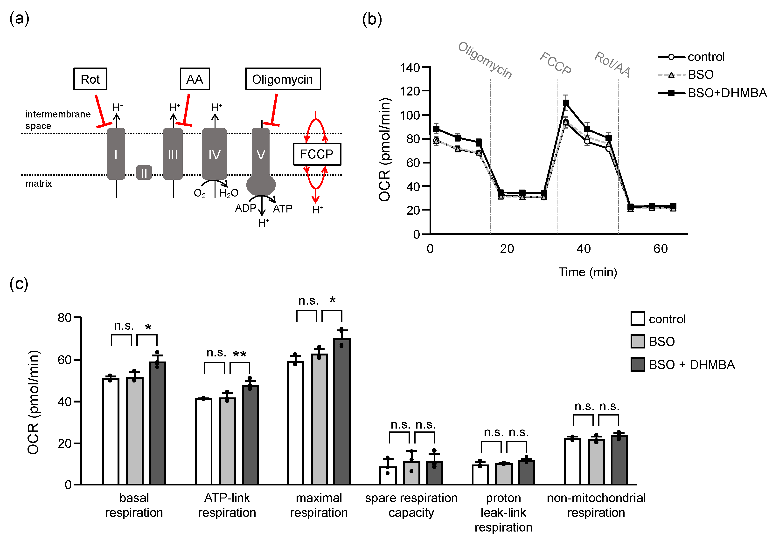 Ijms Free Full Text A Pacific Oyster Derived Antioxidant Dhmba