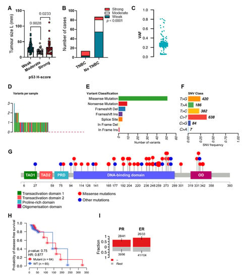 IJMS | Free Full-Text | P53 Dysregulation In Breast Cancer: Insights On ...