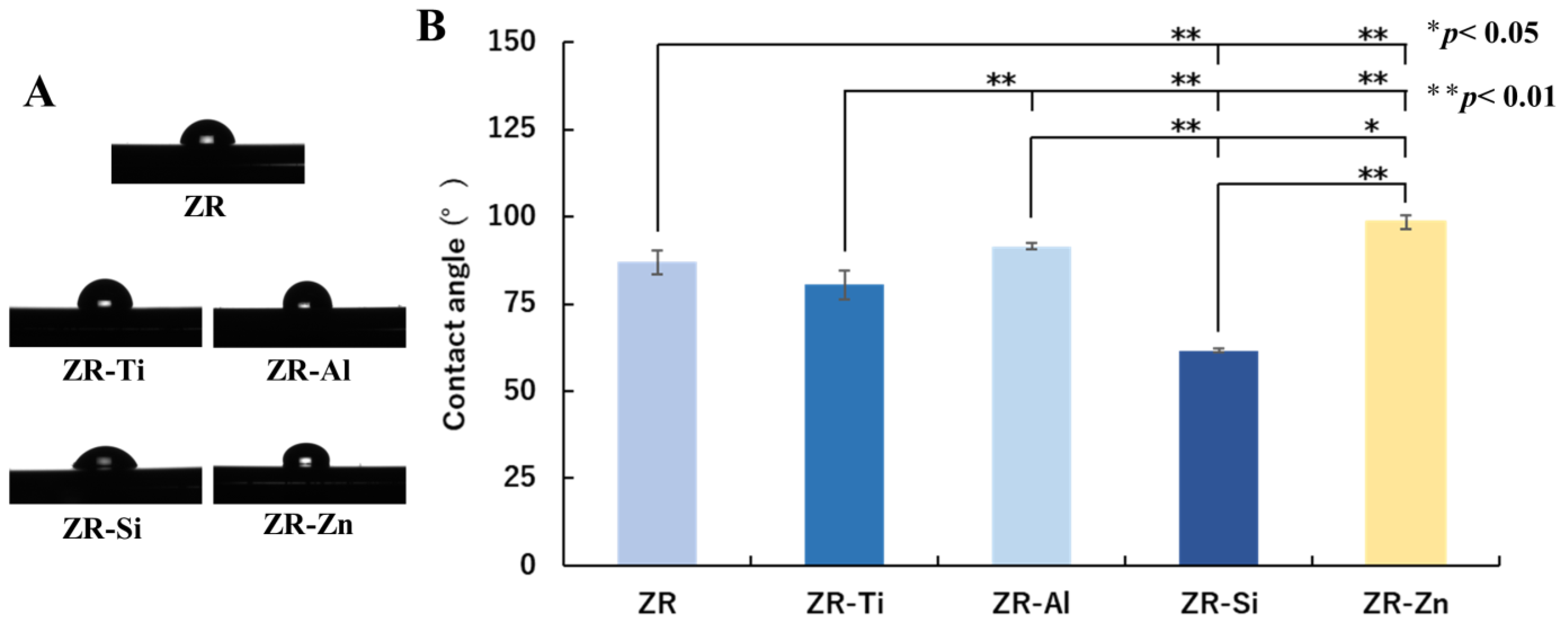 Ijms 24 10101 g002 Ijms 24 10101 g002
