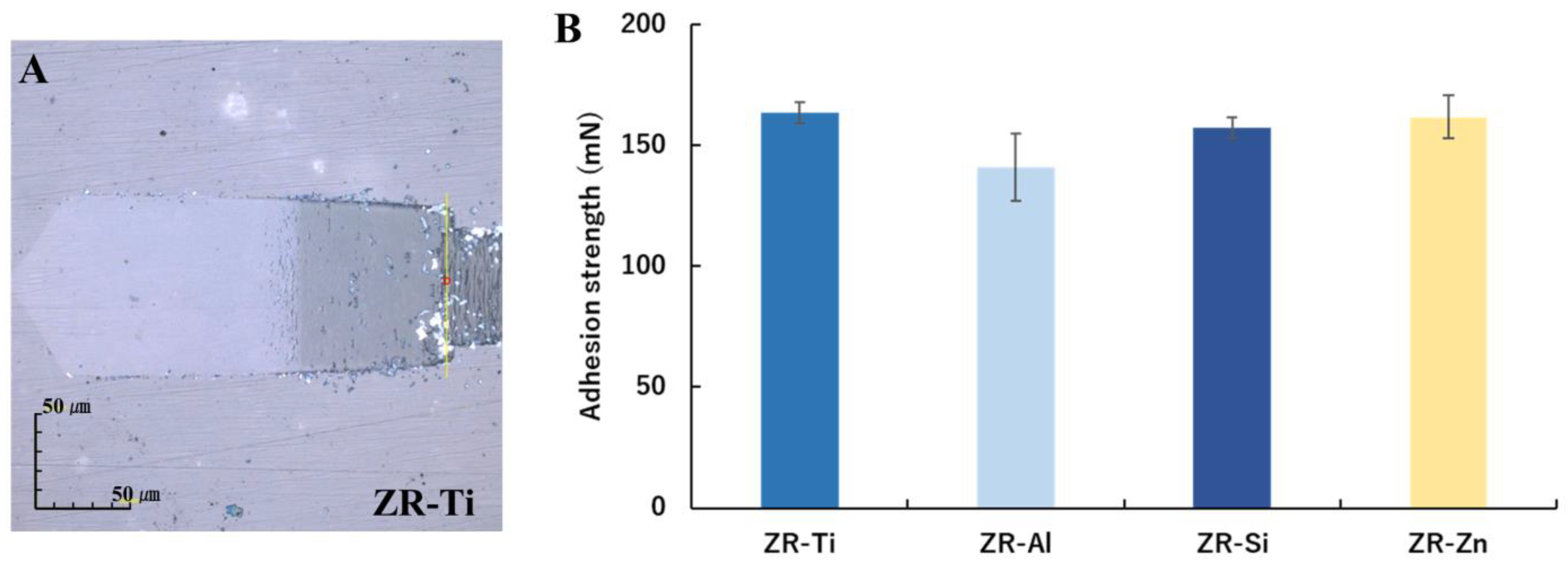 Ijms 24 10101 g003 Ijms 24 10101 g003