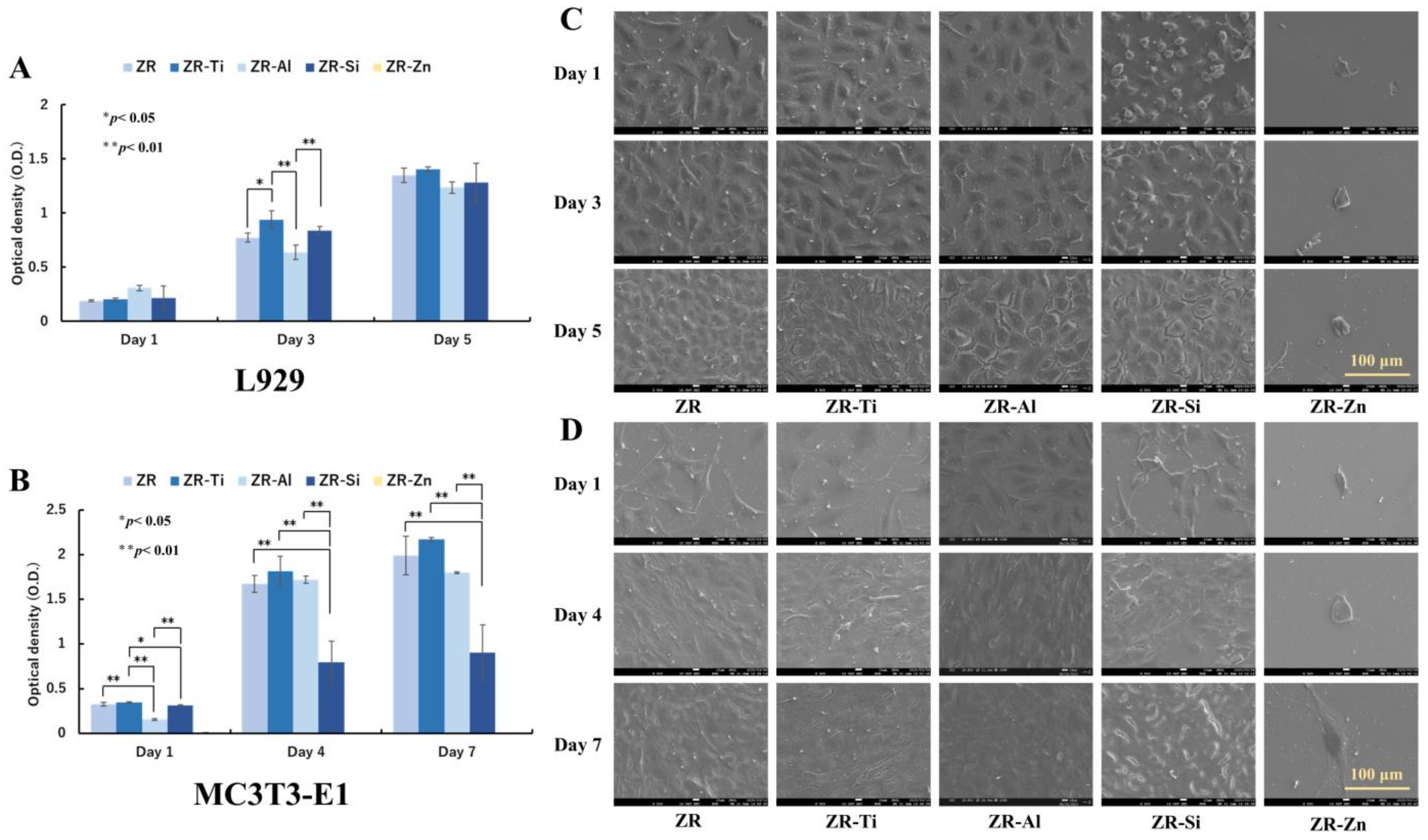 Ijms 24 10101 g005 Ijms 24 10101 g005