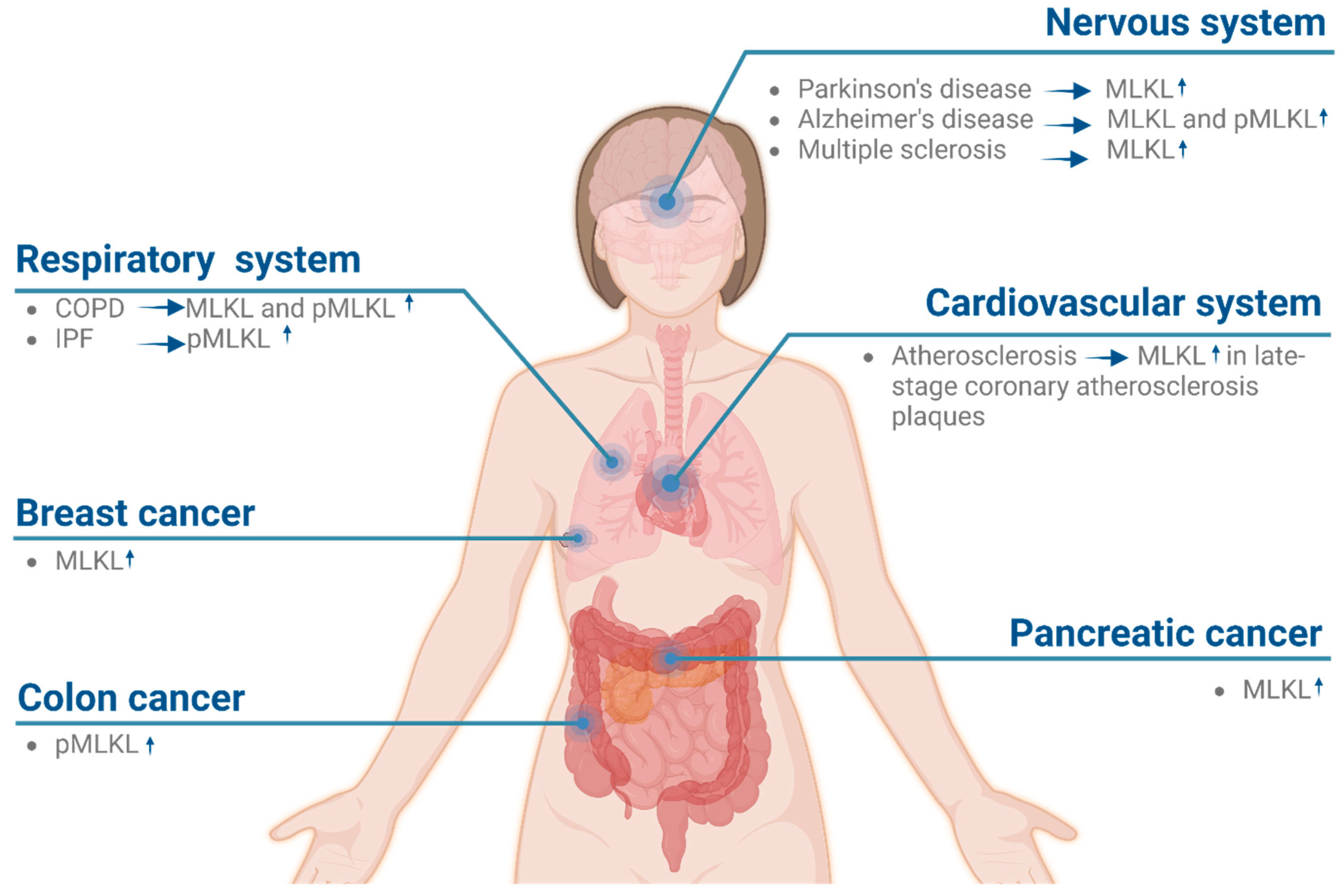 Ijms 24 10108 g003 Ijms 24 10108 g003