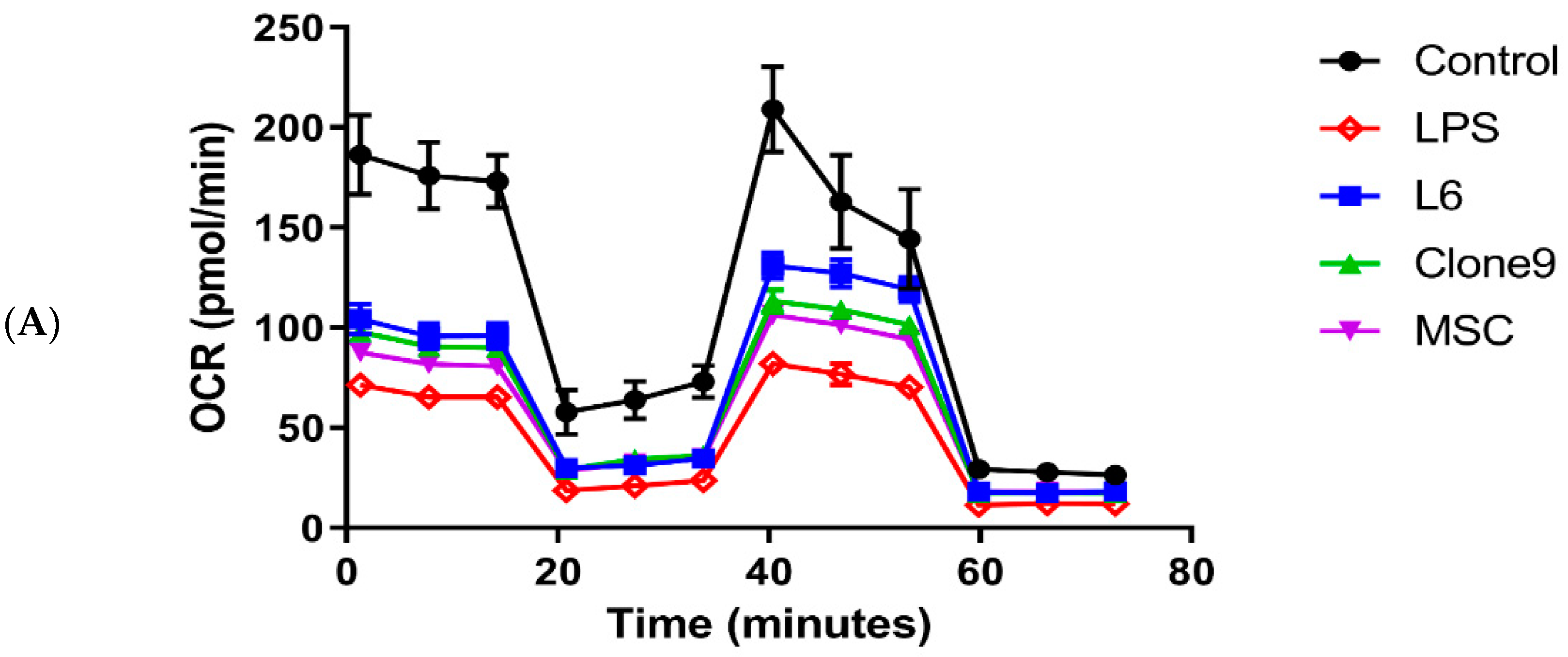 Ijms 24 10113 g003a Ijms 24 10113 g003a