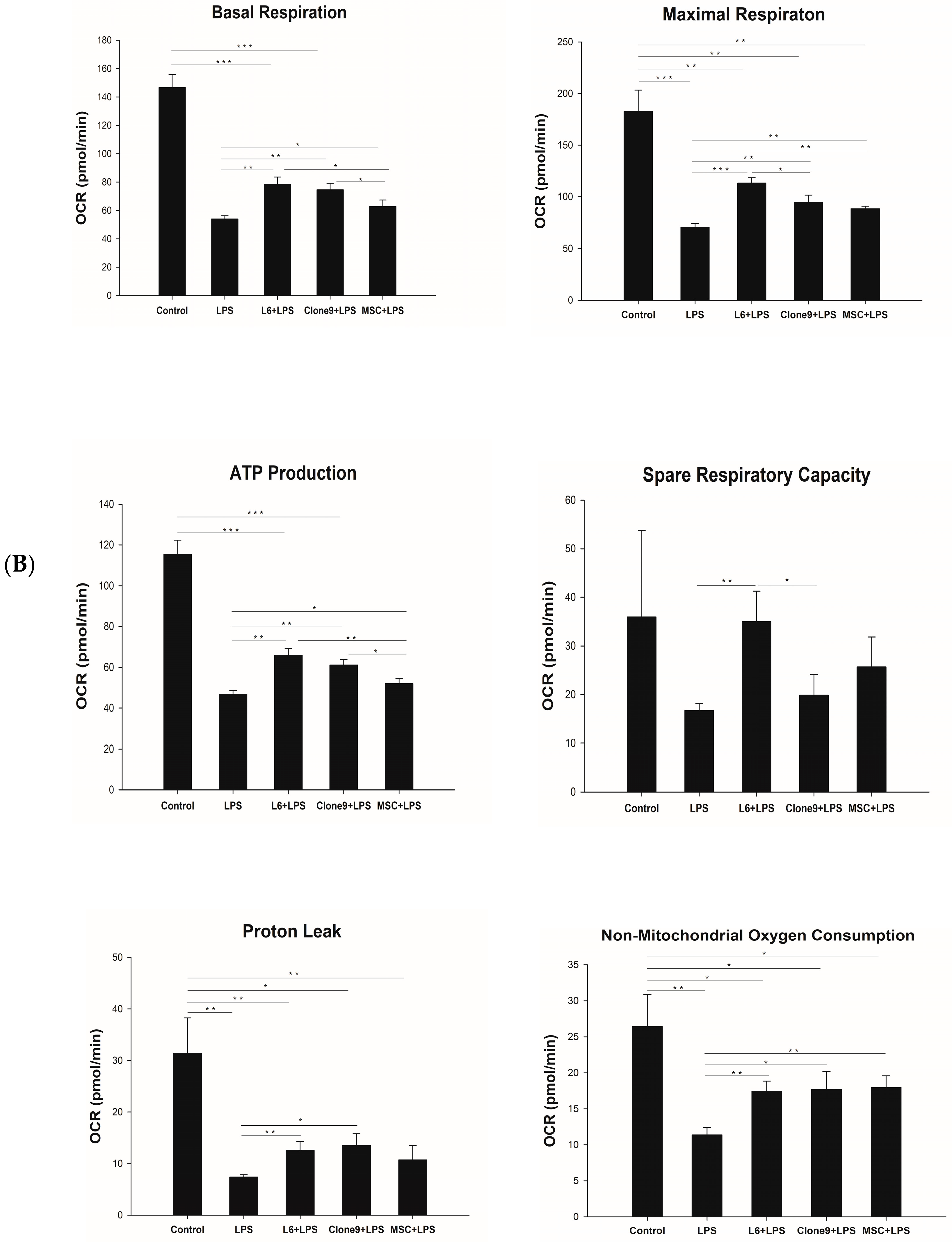 Ijms 24 10113 g003b Ijms 24 10113 g003b