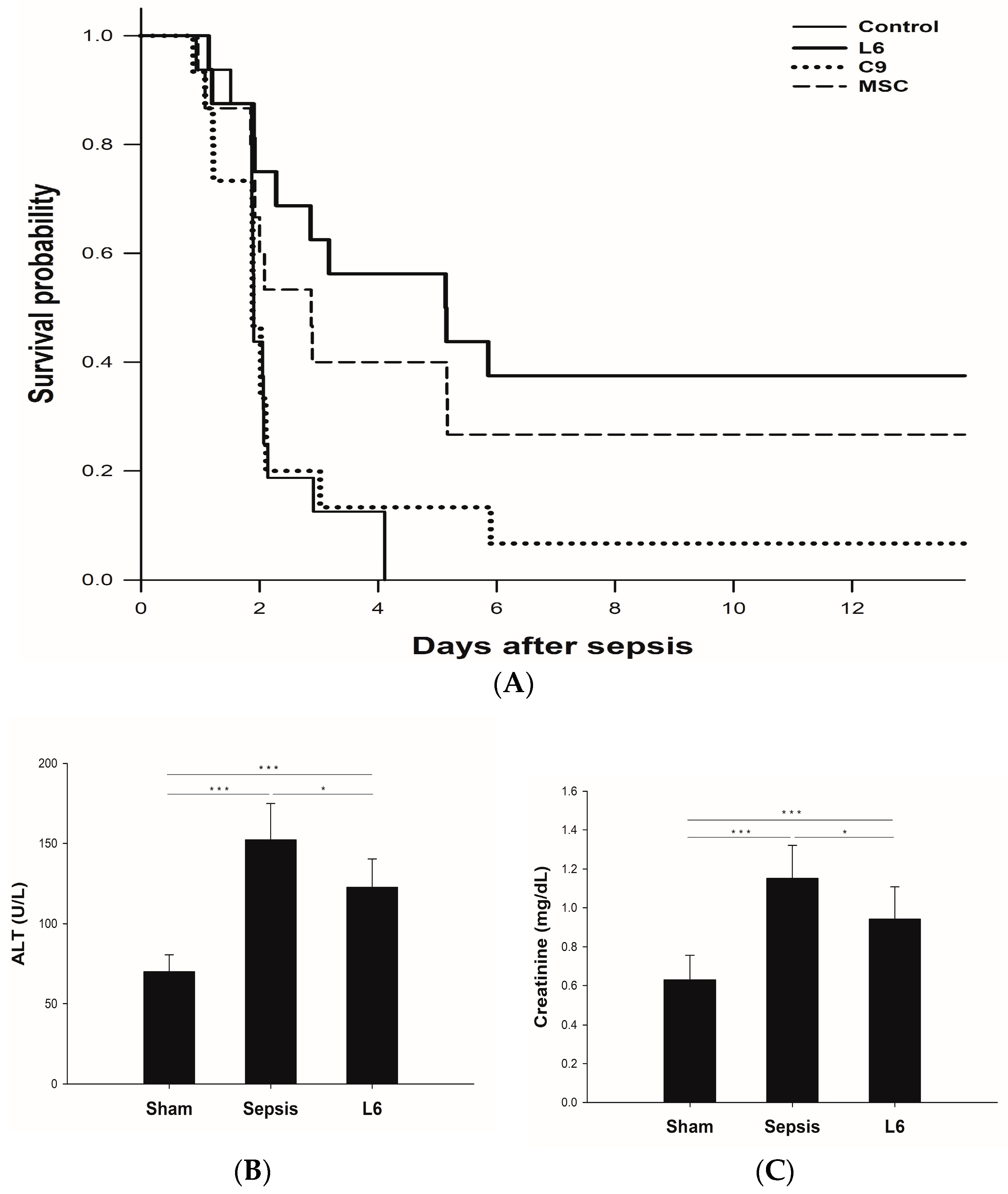 Ijms 24 10113 g005 Ijms 24 10113 g005