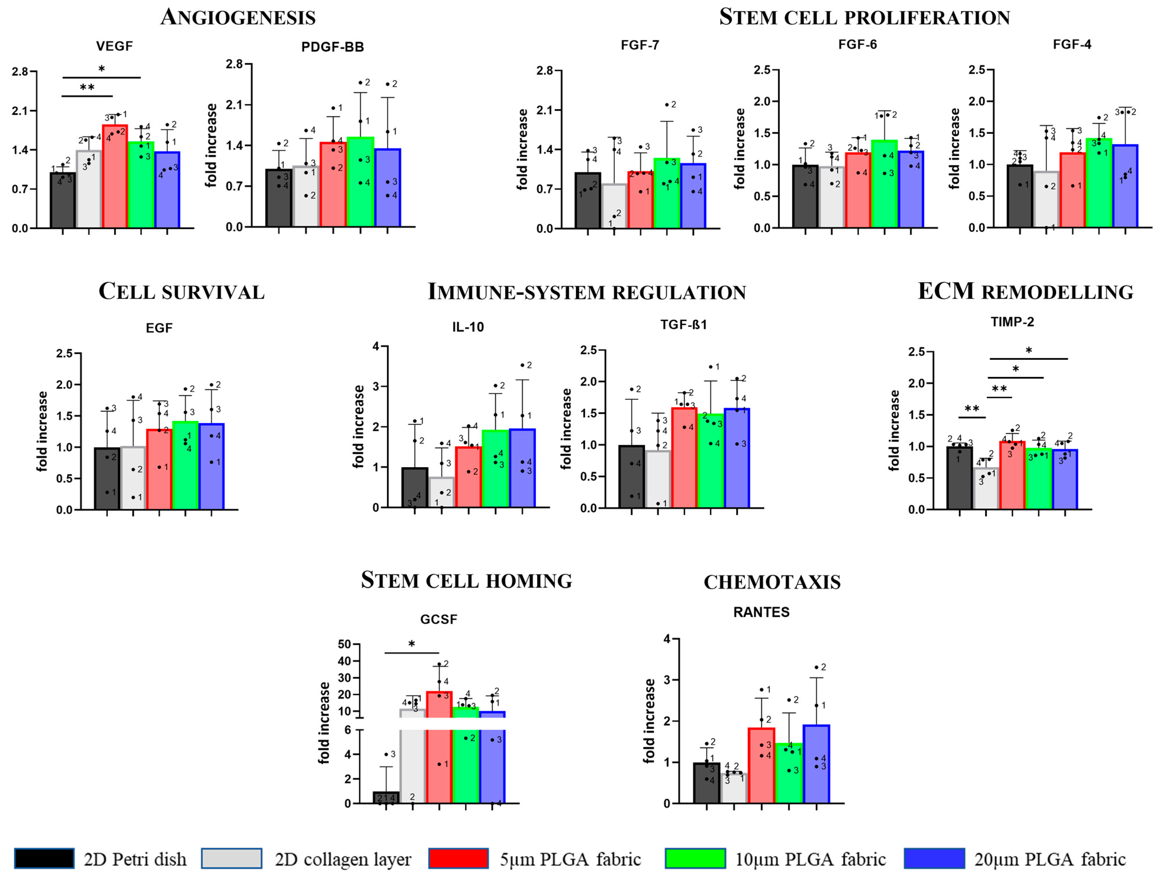 Ijms Free Full Text Microstructured Polymeric Fabrics Modulating