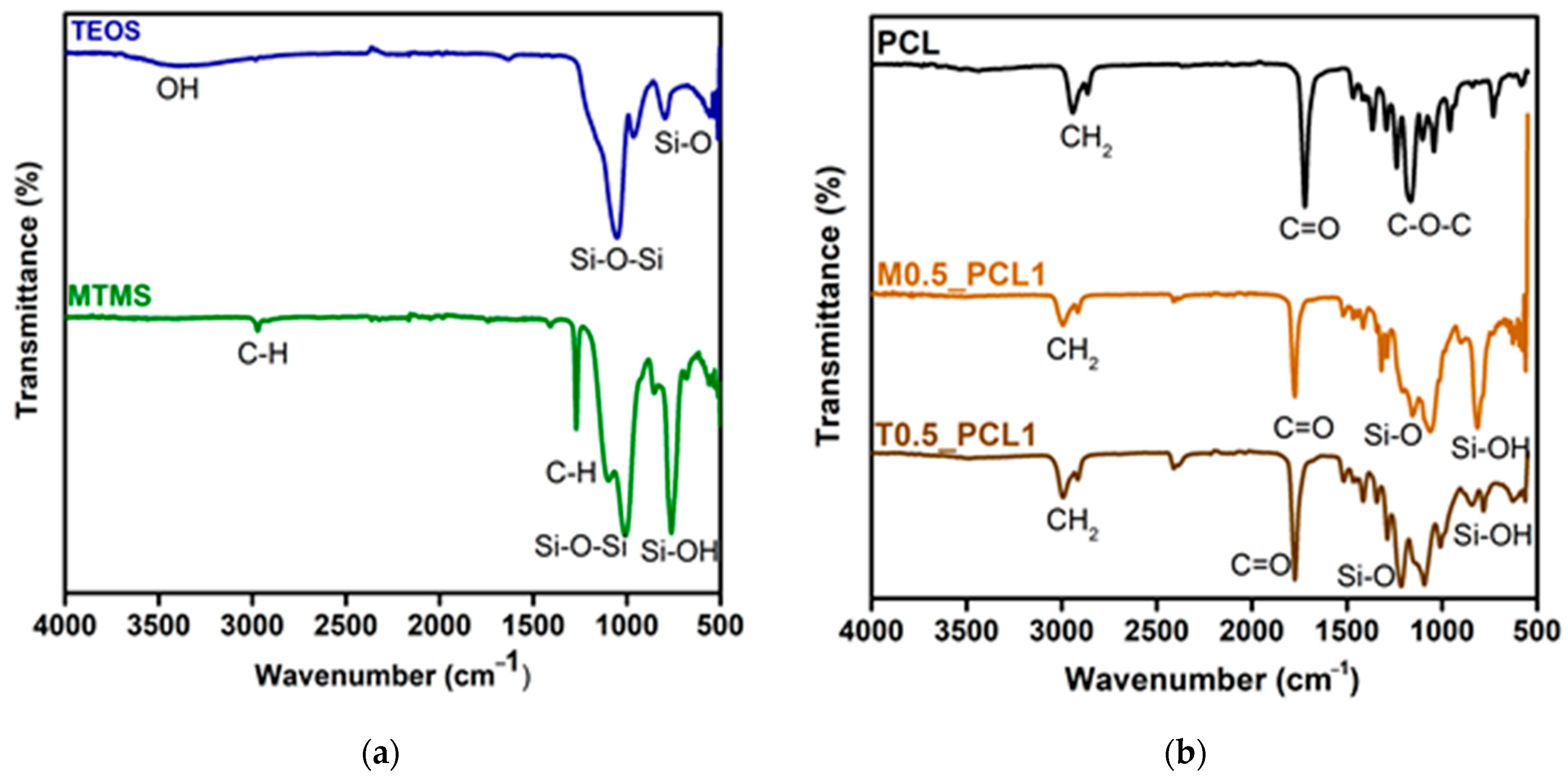 The ATIR-FTIR spectra of the scaffolds.