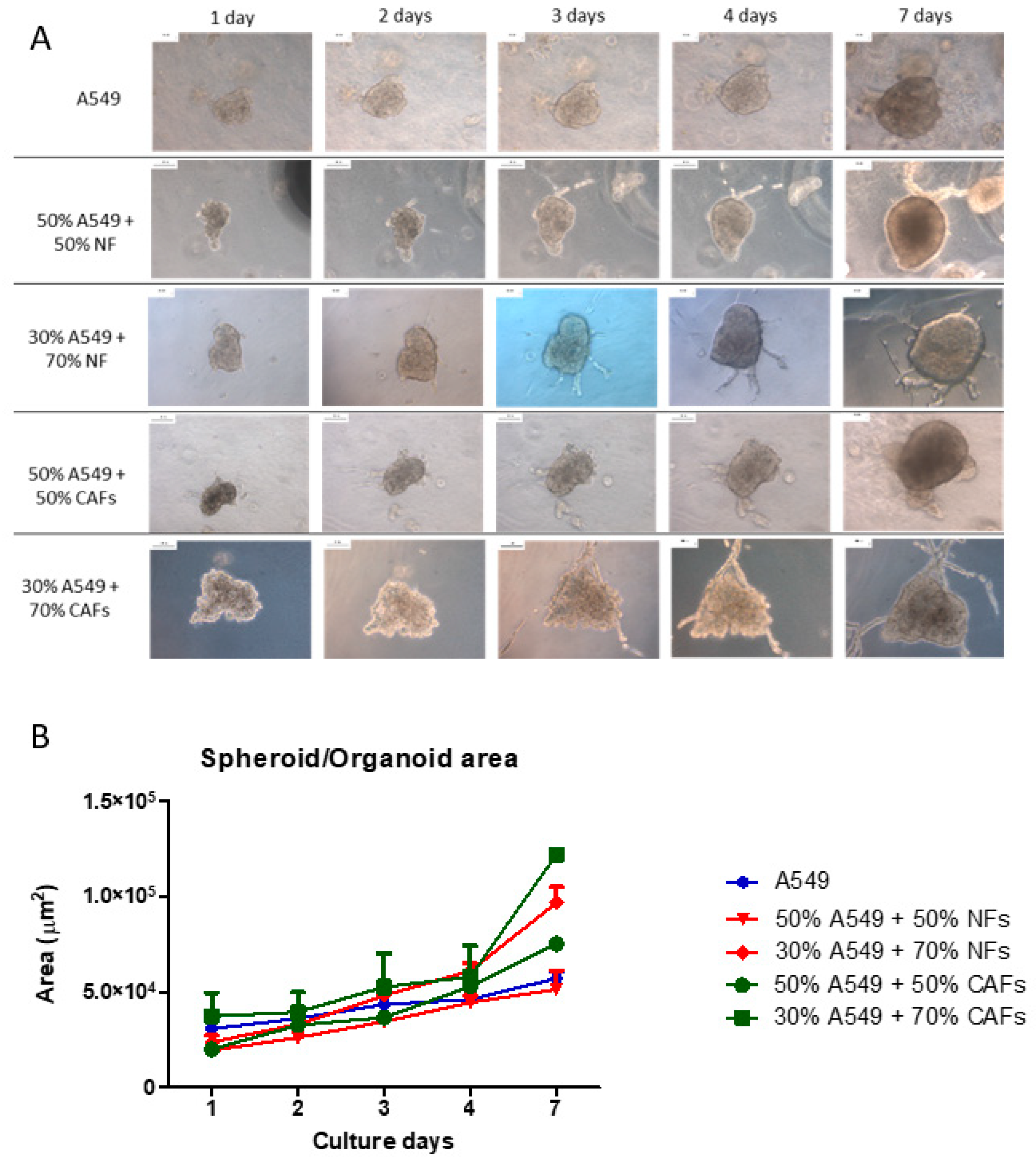 Ijms 24 10131 g002 Ijms 24 10131 g002