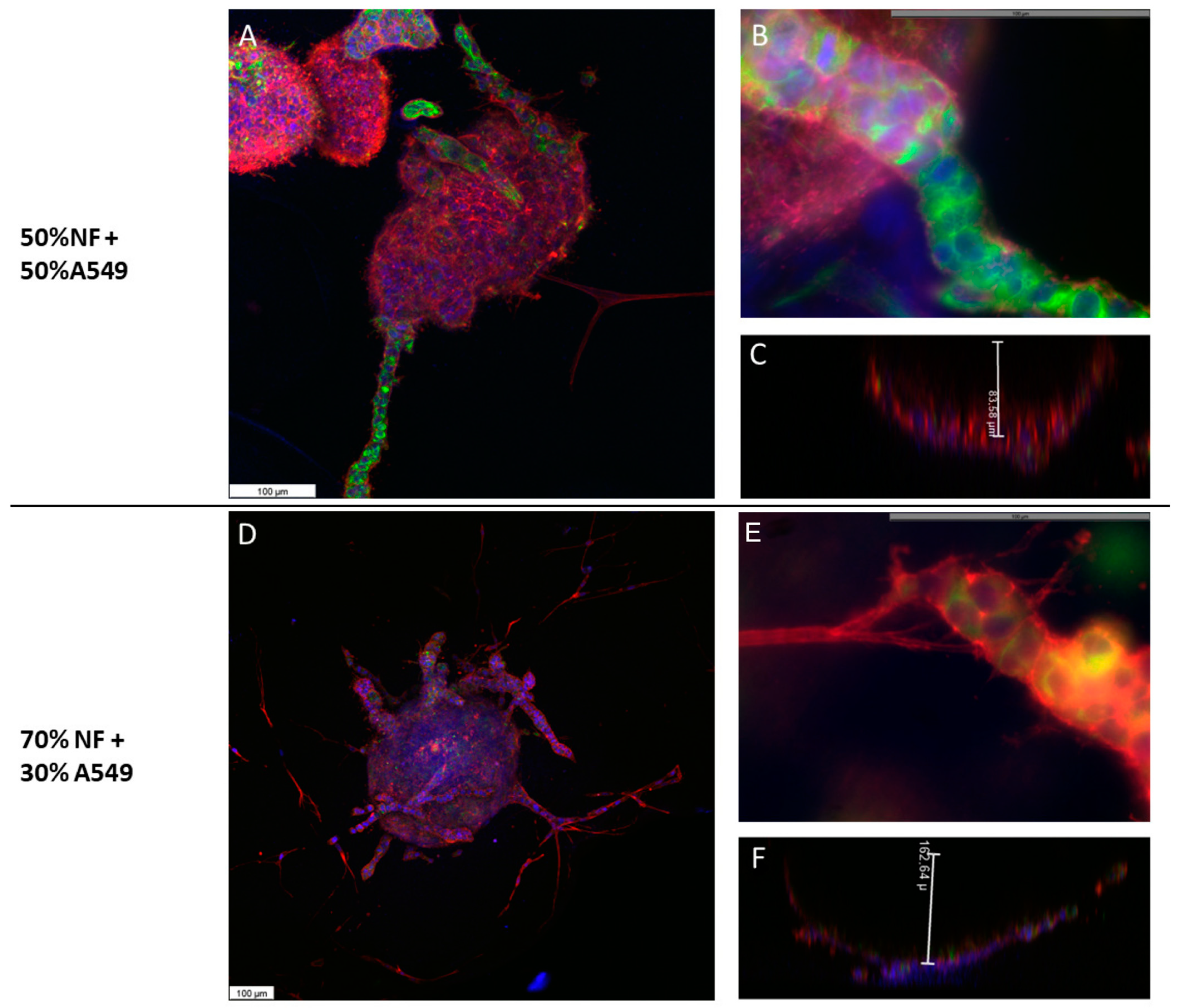 Ijms 24 10131 g005 Ijms 24 10131 g005