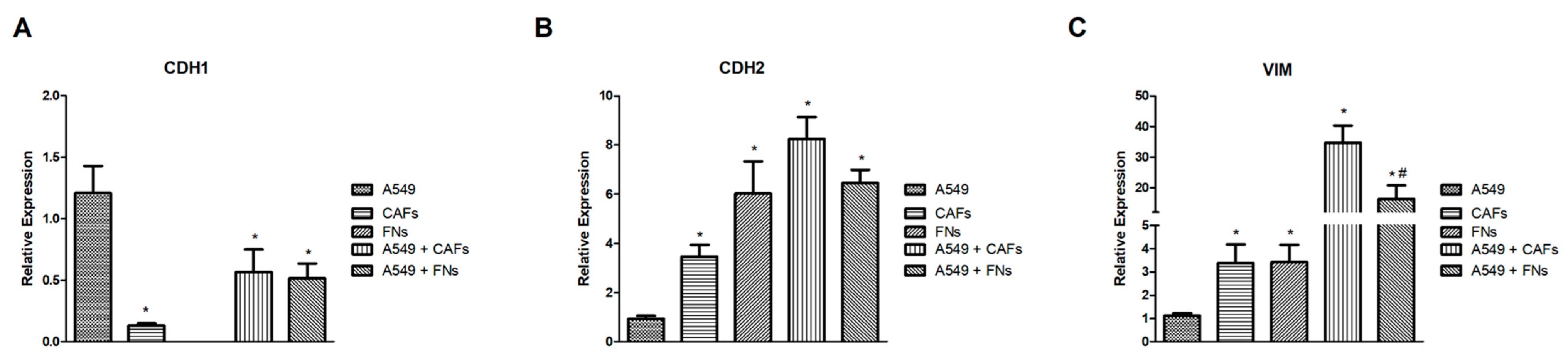 Ijms 24 10131 g010 Ijms 24 10131 g010