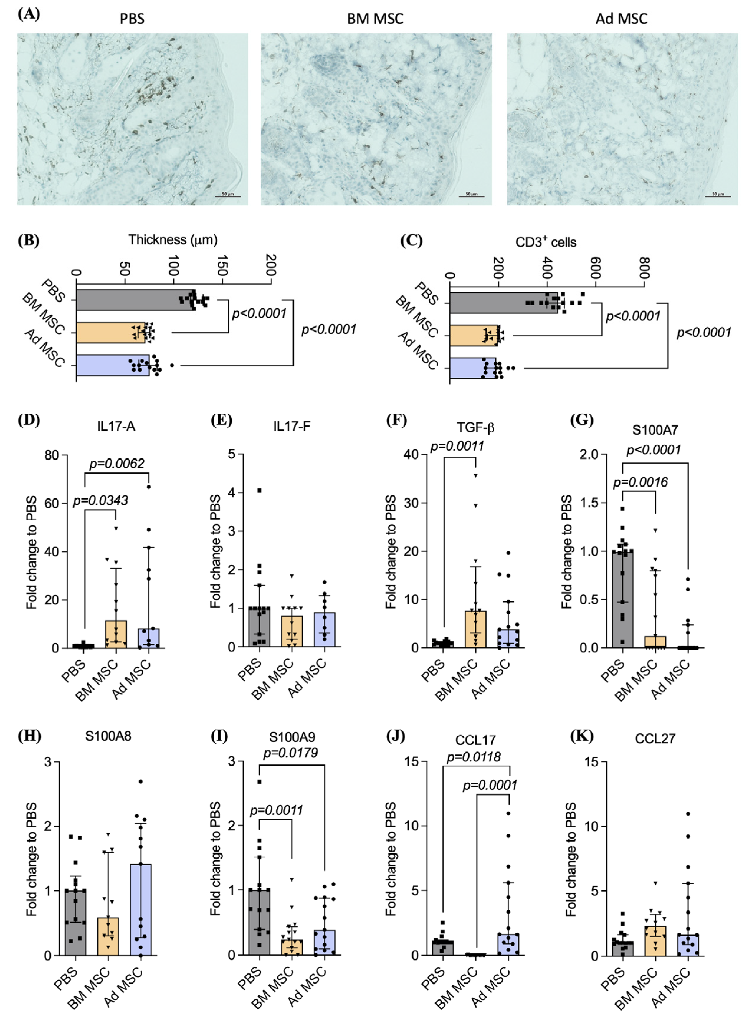 Ijms 24 10132 g002 Ijms 24 10132 g002