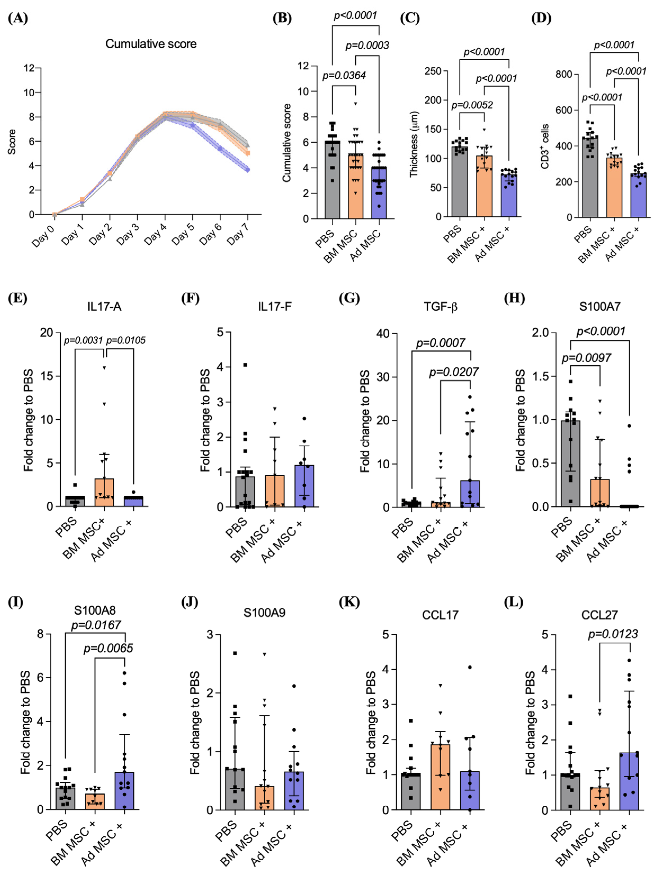 Ijms 24 10132 g003 Ijms 24 10132 g003