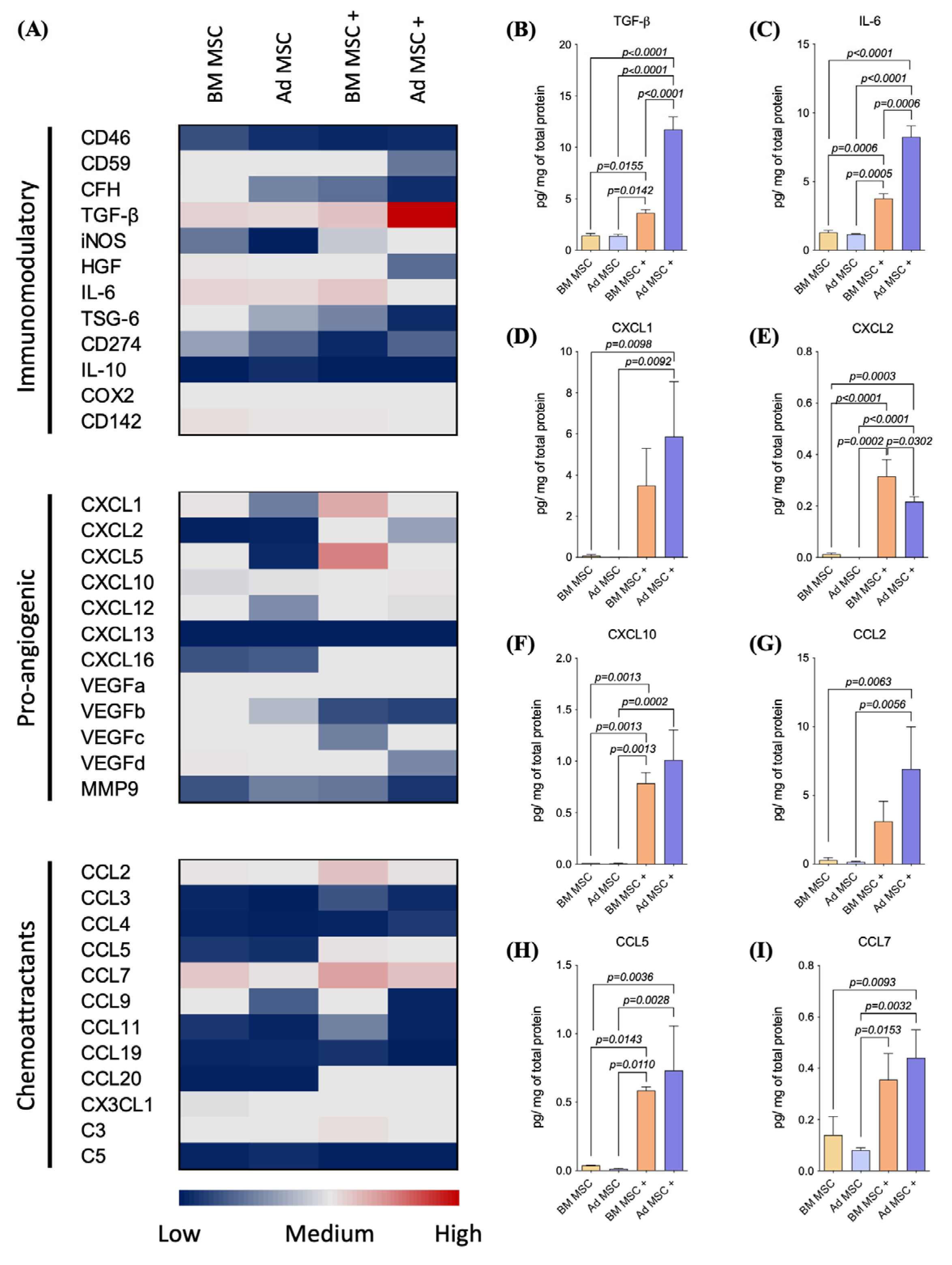 Ijms 24 10132 g004 Ijms 24 10132 g004