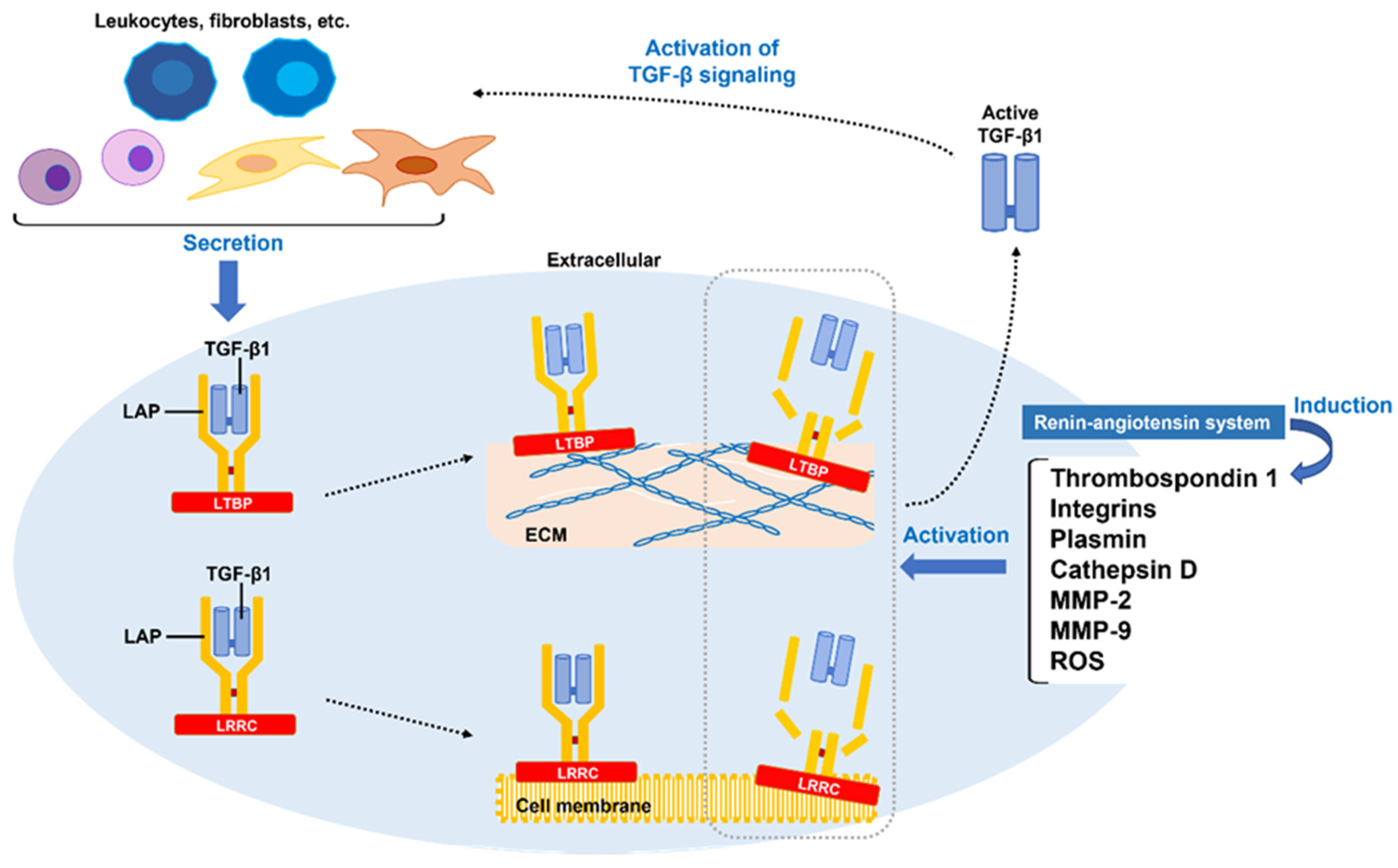 Ijms 24 10133 g002 Ijms 24 10133 g002