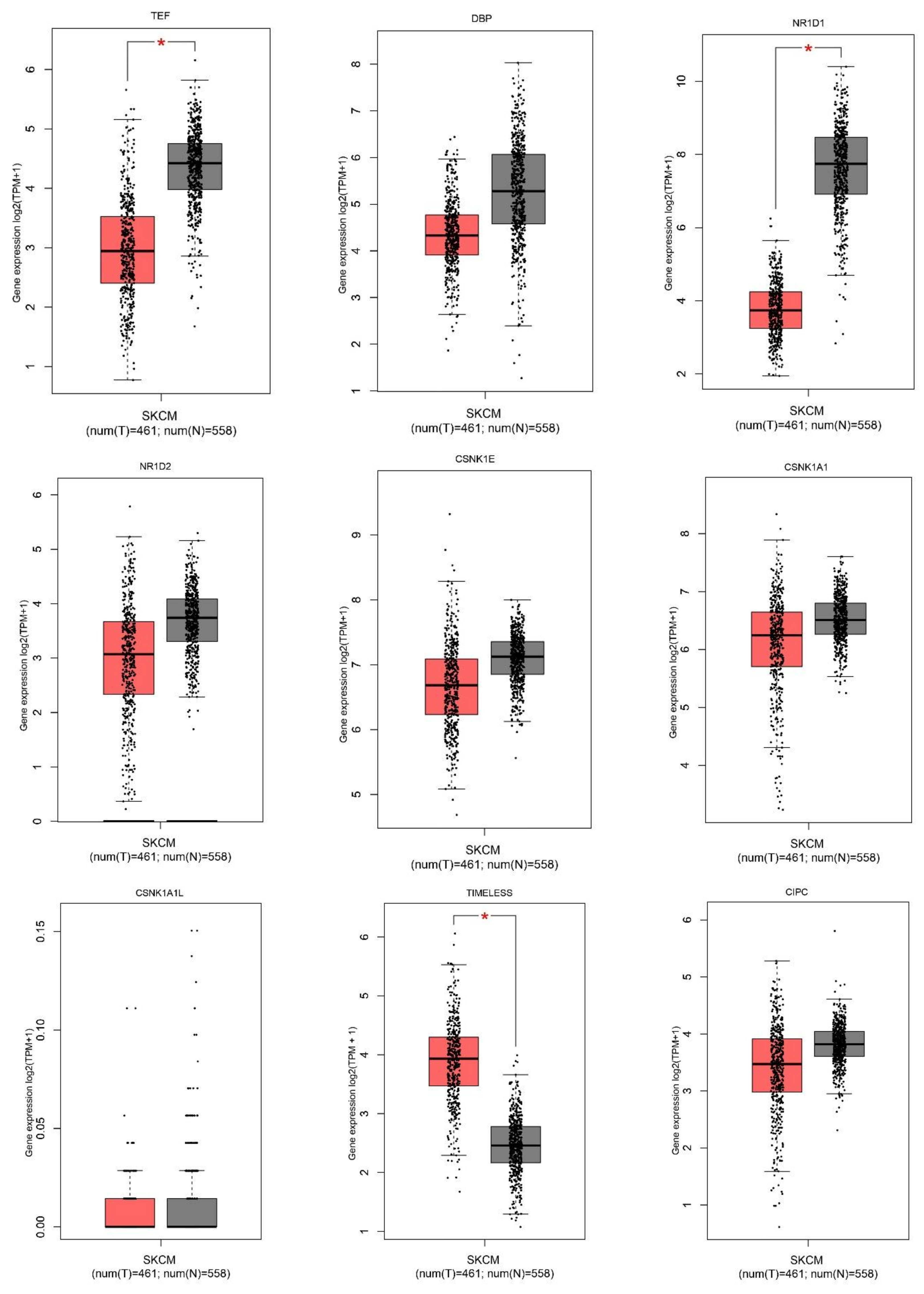 Ijms 24 10140 g001c Ijms 24 10140 g001c