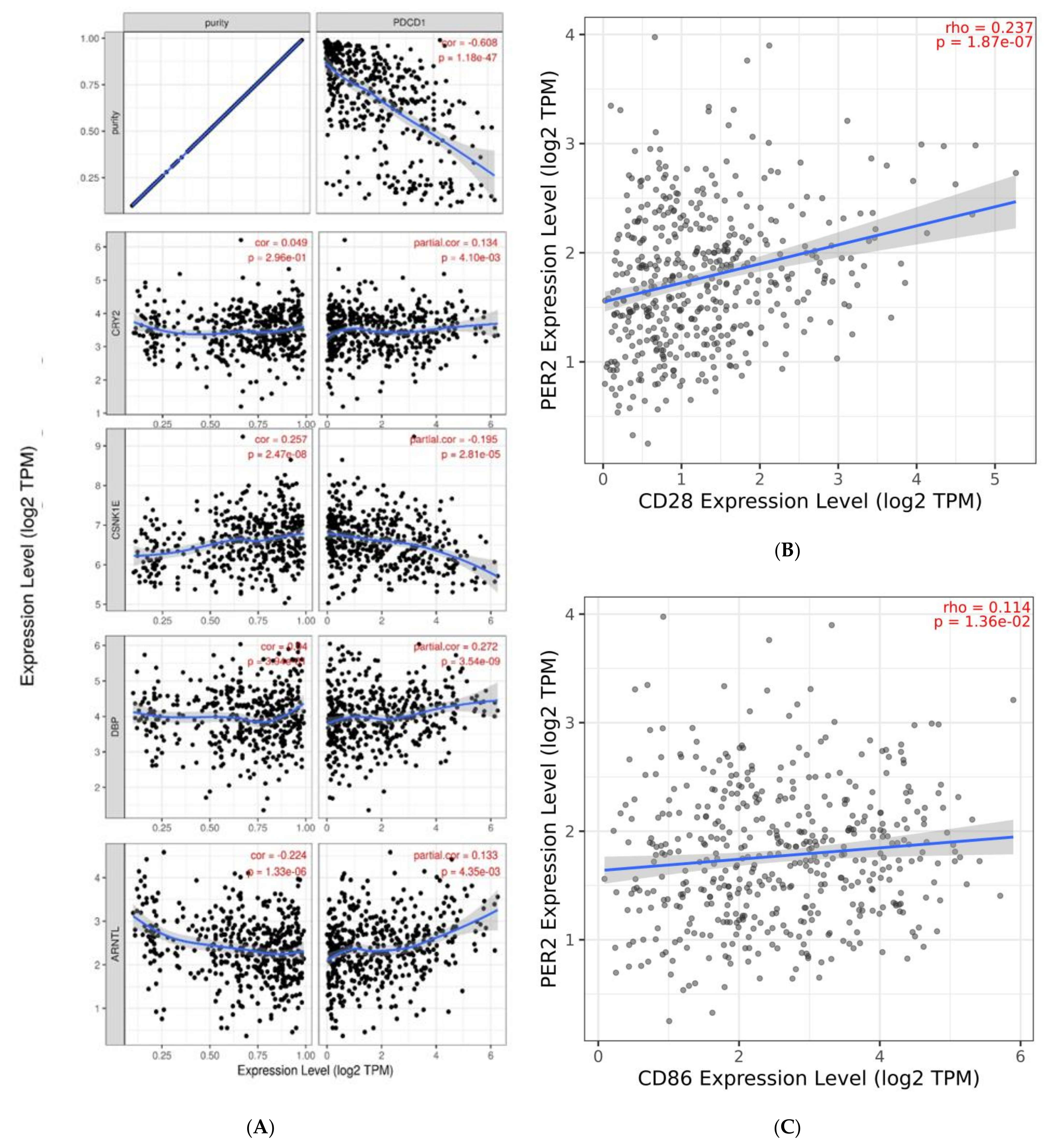 Ijms 24 10140 g006 Ijms 24 10140 g006