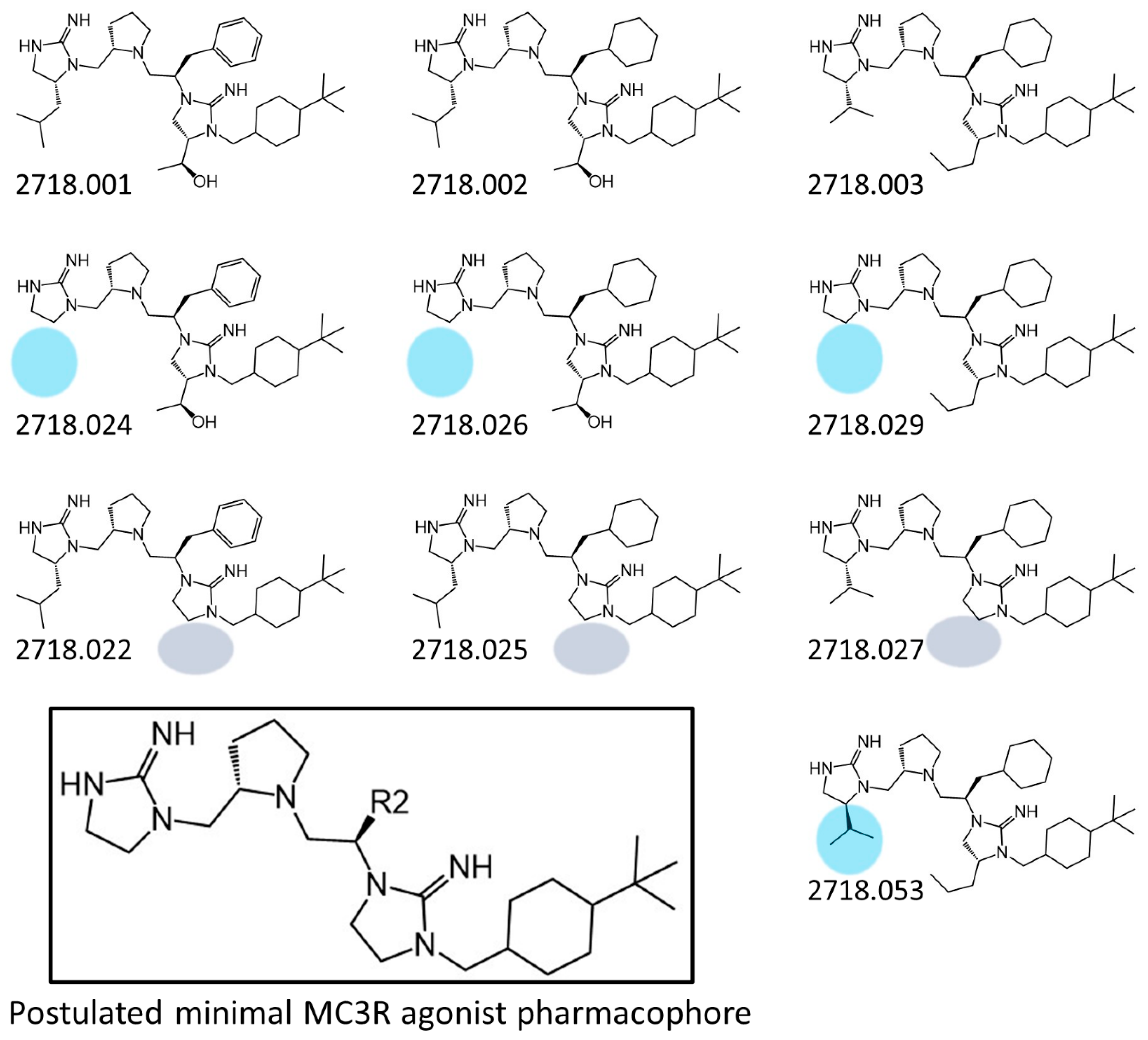 Ijms 24 10145 g005 Ijms 24 10145 g005