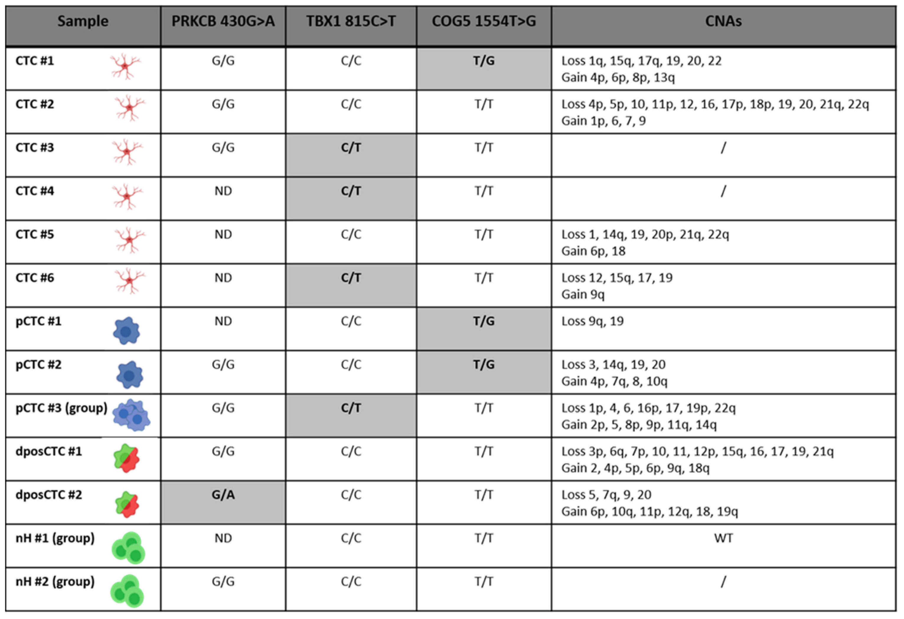 IJMS | Free Full-Text | Innovative Approach to Isolate and Characterize ...