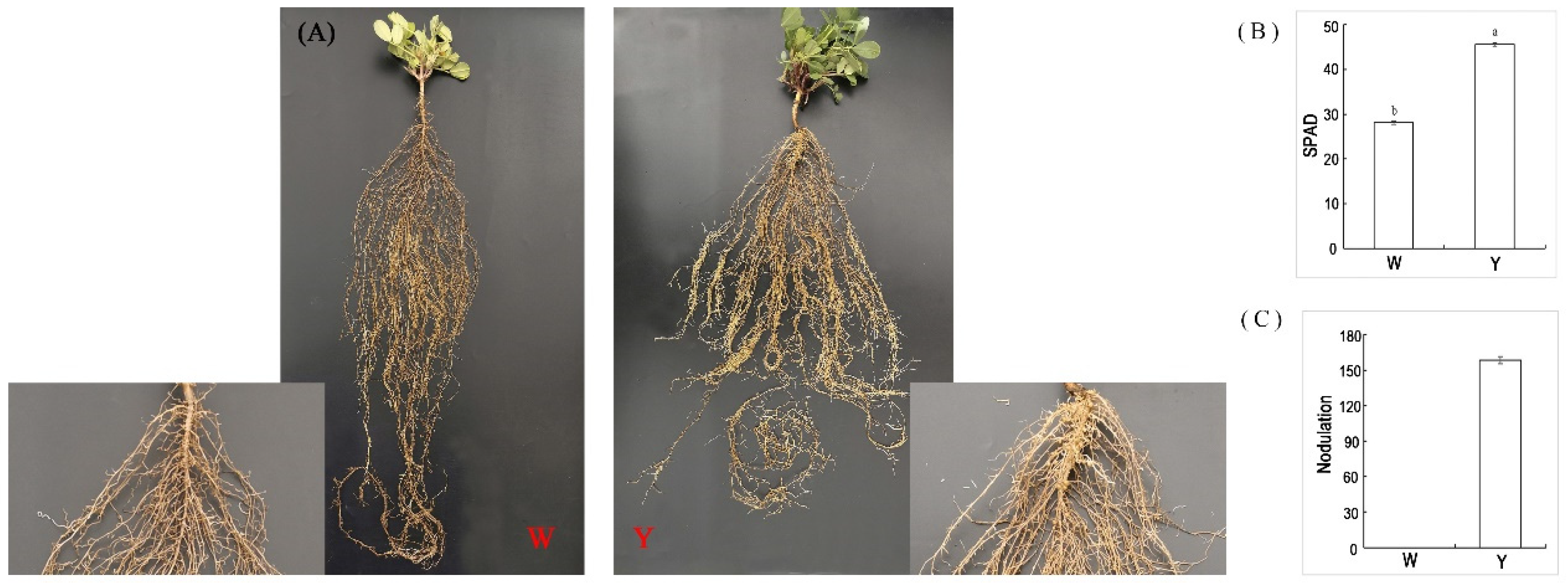 Ijms 24 10152 g001 Ijms 24 10152 g001