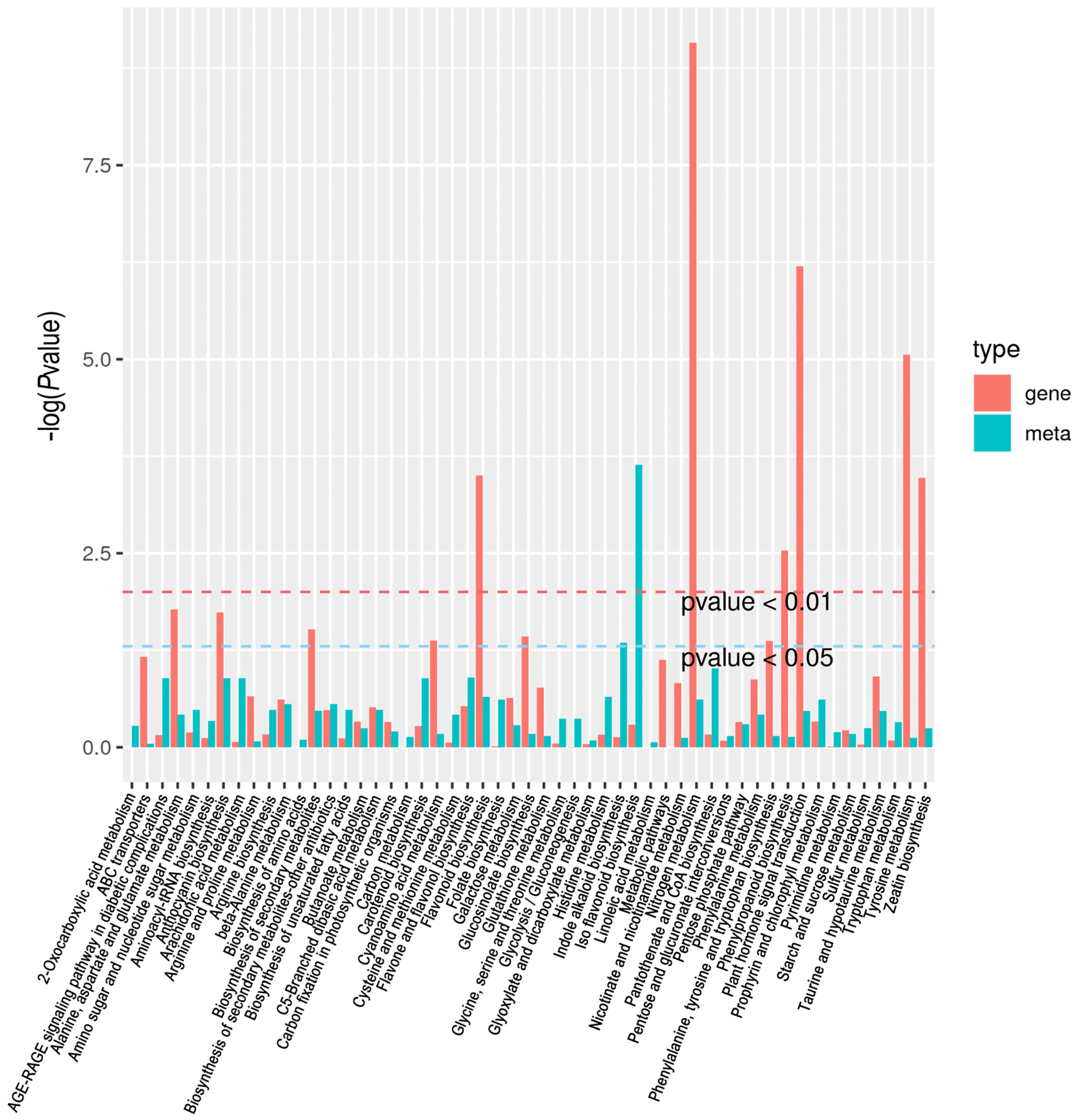 Ijms 24 10152 g006 Ijms 24 10152 g006