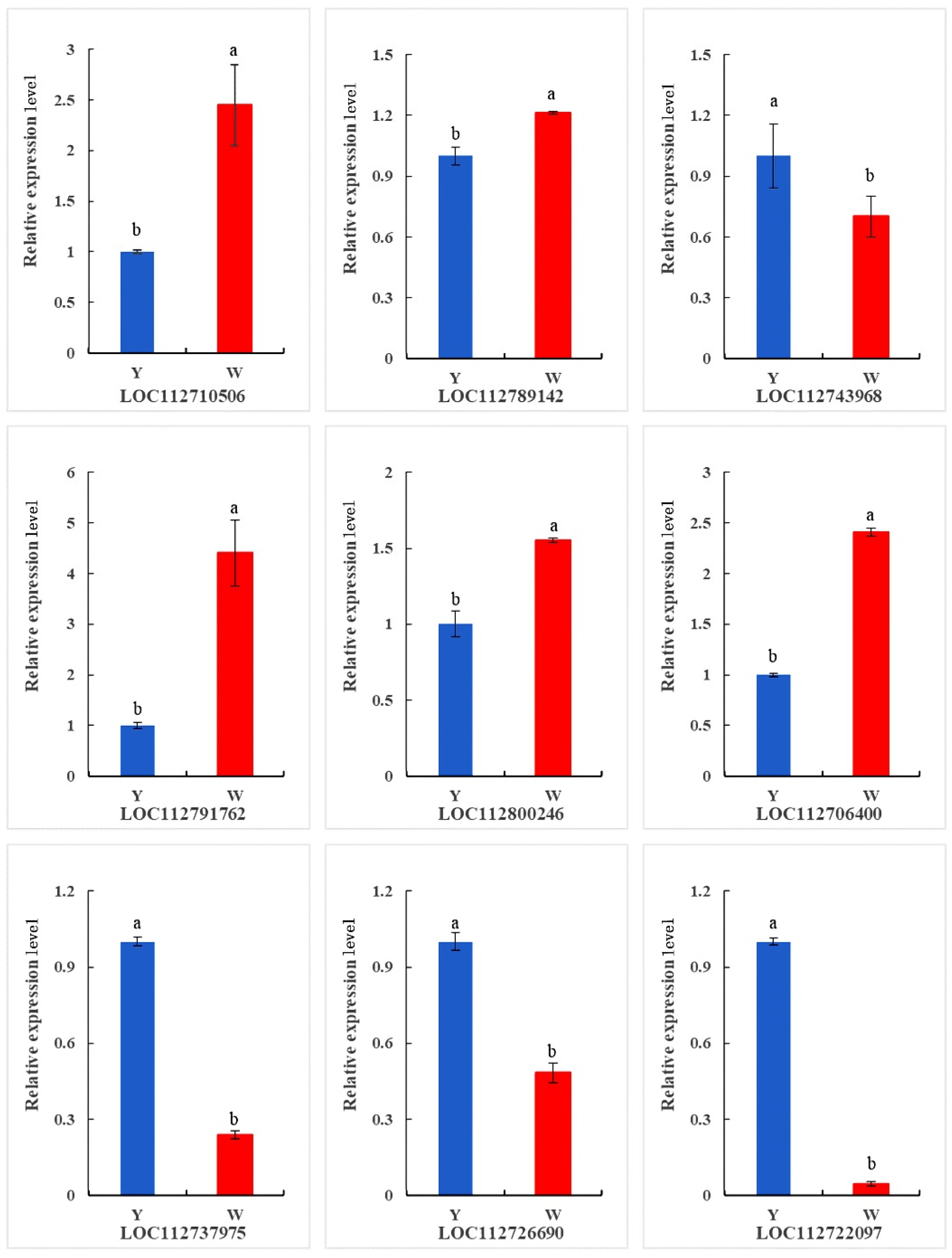 Ijms 24 10152 g007 Ijms 24 10152 g007