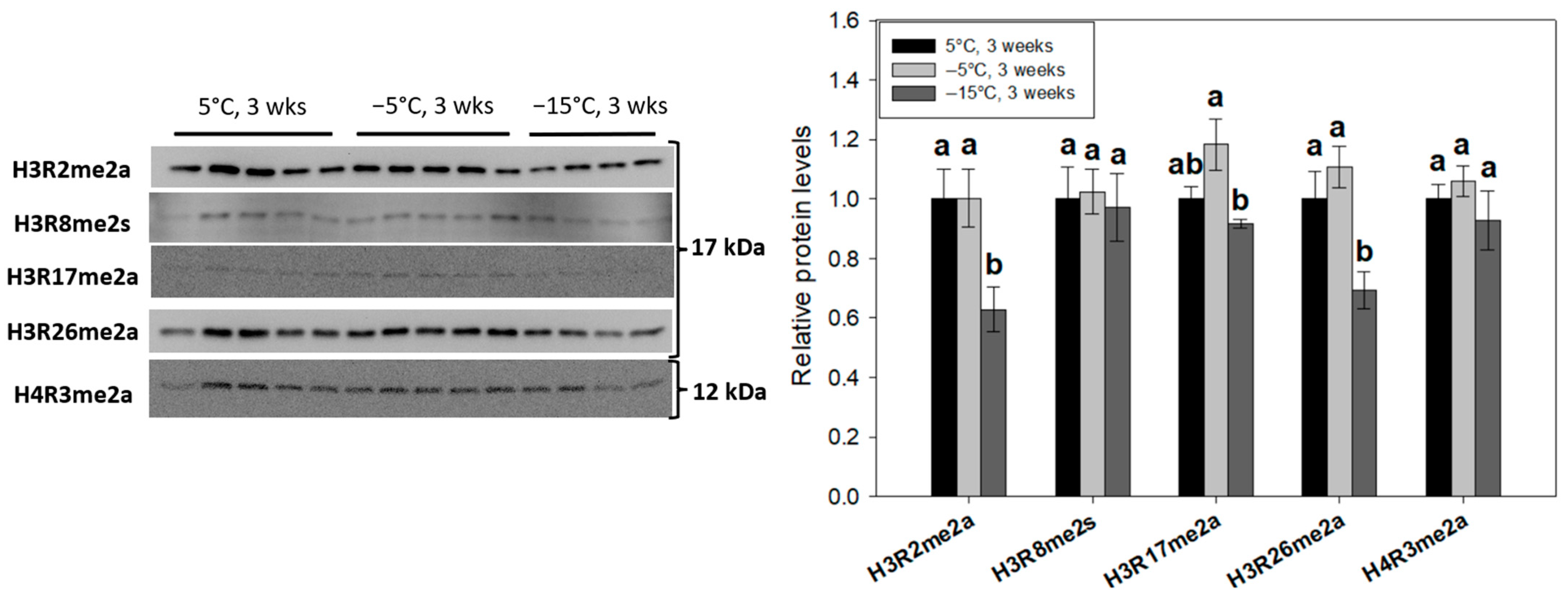 Ijms 24 10153 g004 Ijms 24 10153 g004