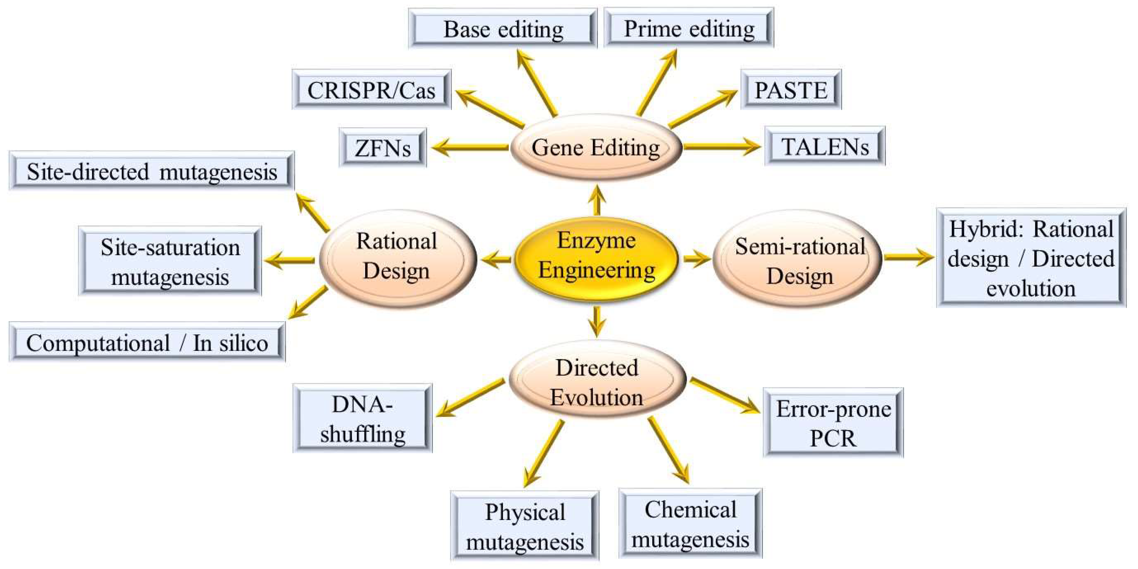 Ijms 24 10156 g002 Ijms 24 10156 g002