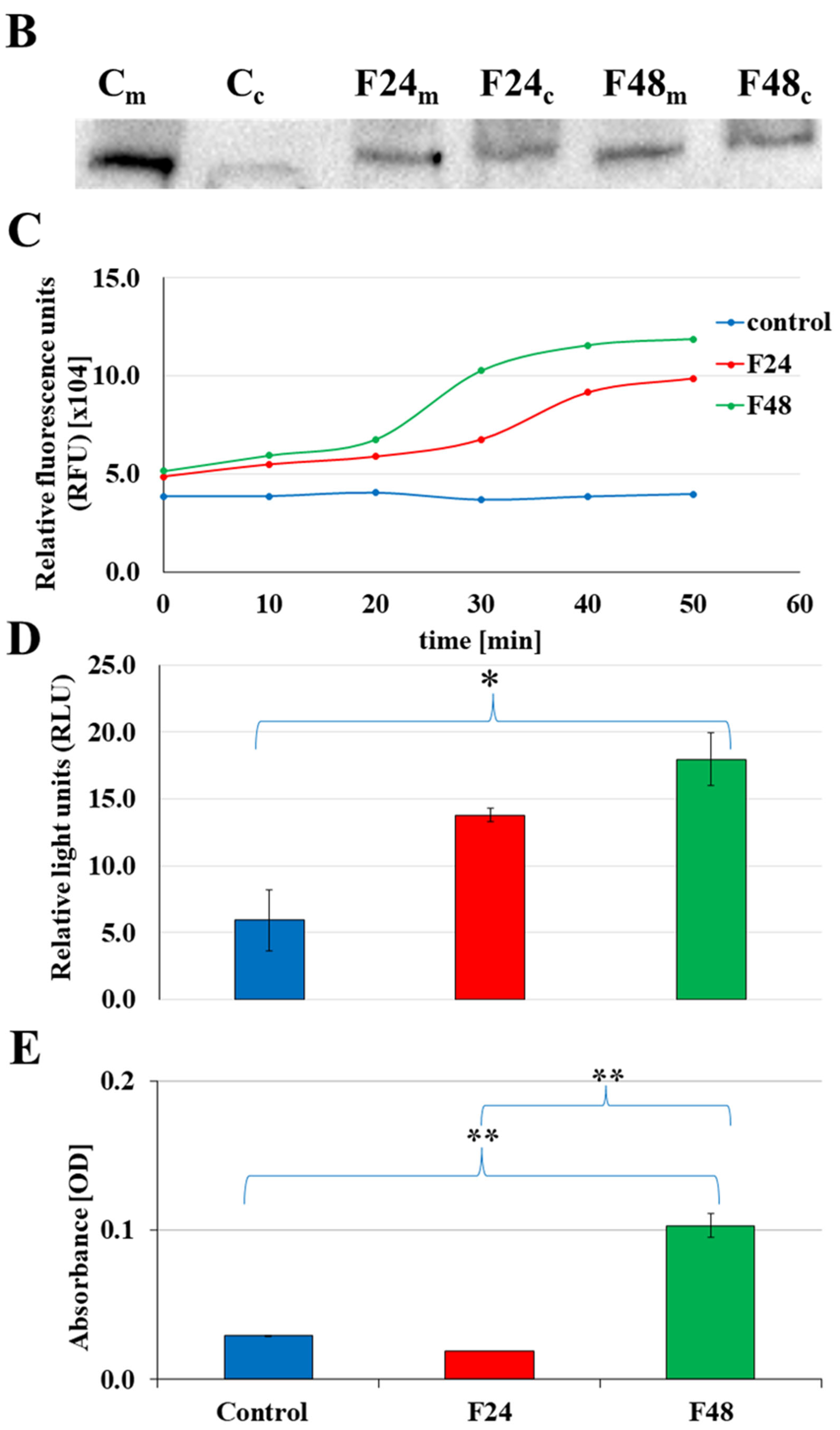 Ijms 24 10169 g001b Ijms 24 10169 g001b