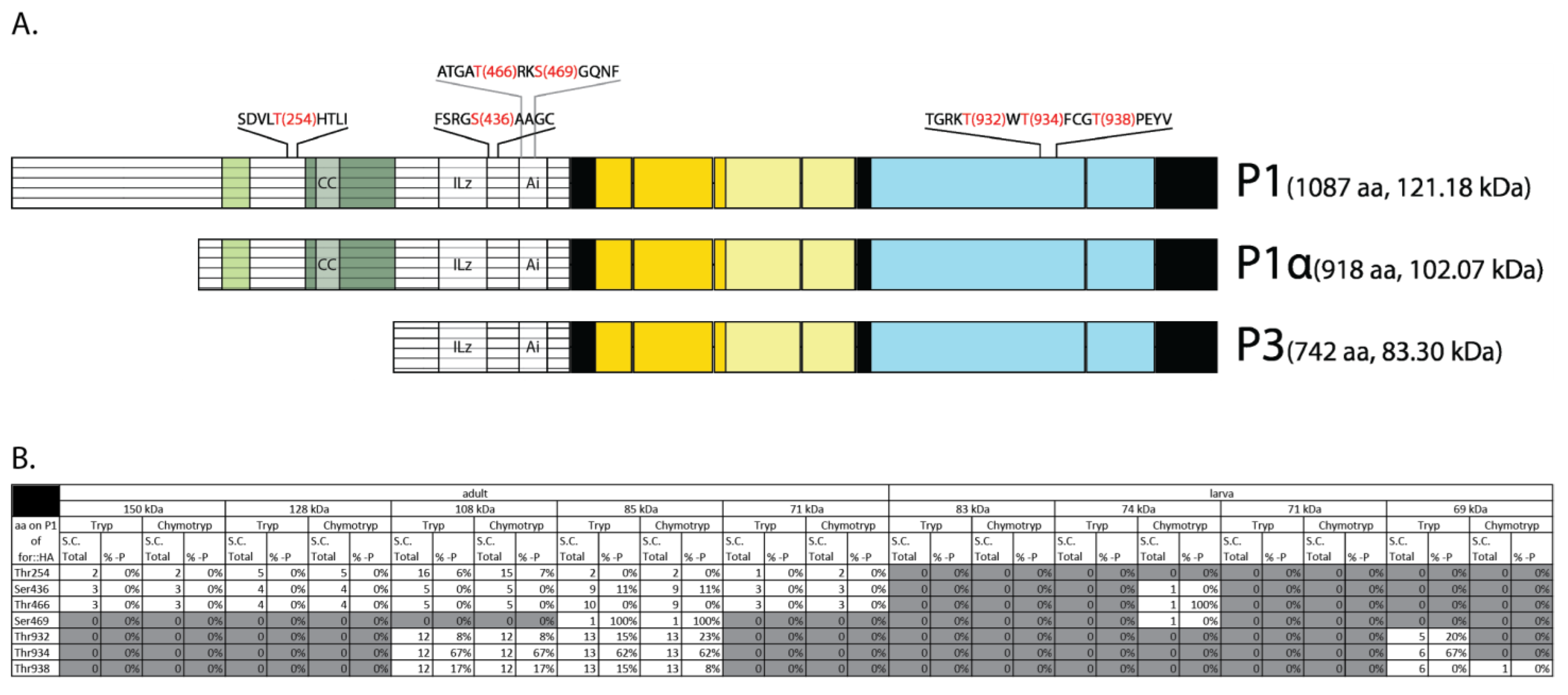 Ijms 24 10219 g006 Ijms 24 10219 g006