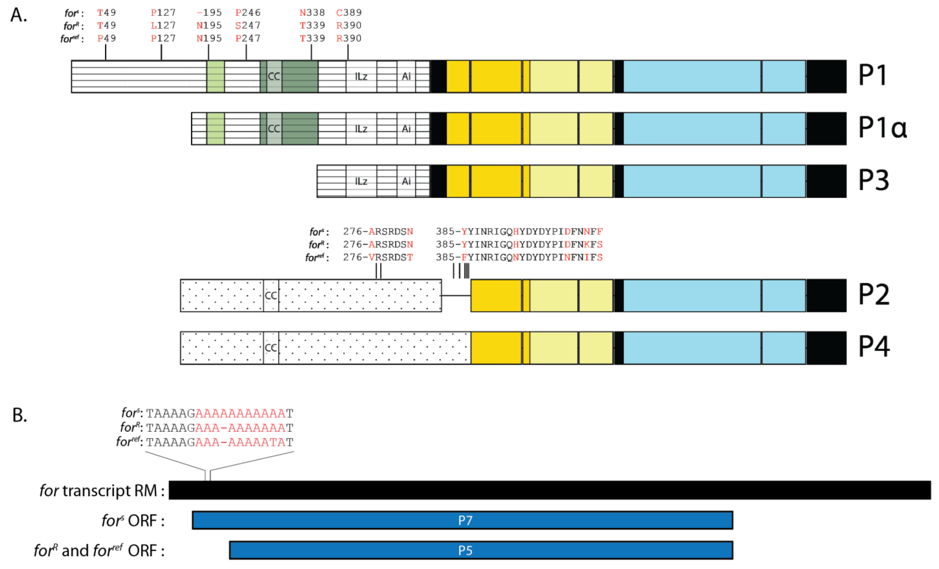 Ijms 24 10219 g007 Ijms 24 10219 g007