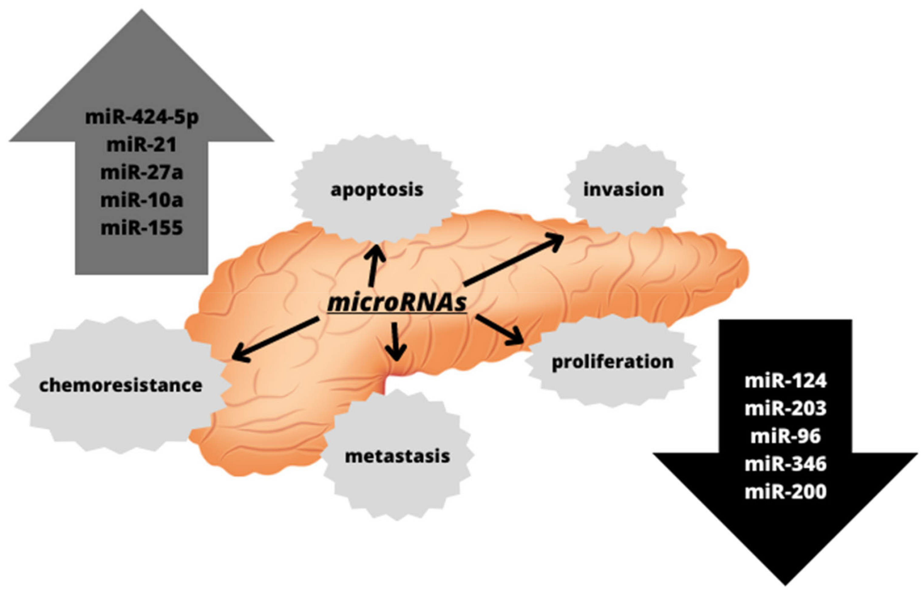 The Link between Diabetes, Pancreatic Tumors, and miRNAs&mdash;New ...