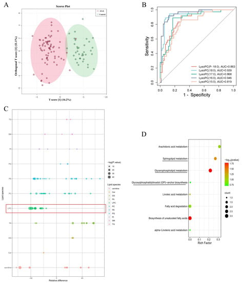 Ijms Free Full Text Plasma Lipidomics Analysis Reveals The Potential Role Of 3360